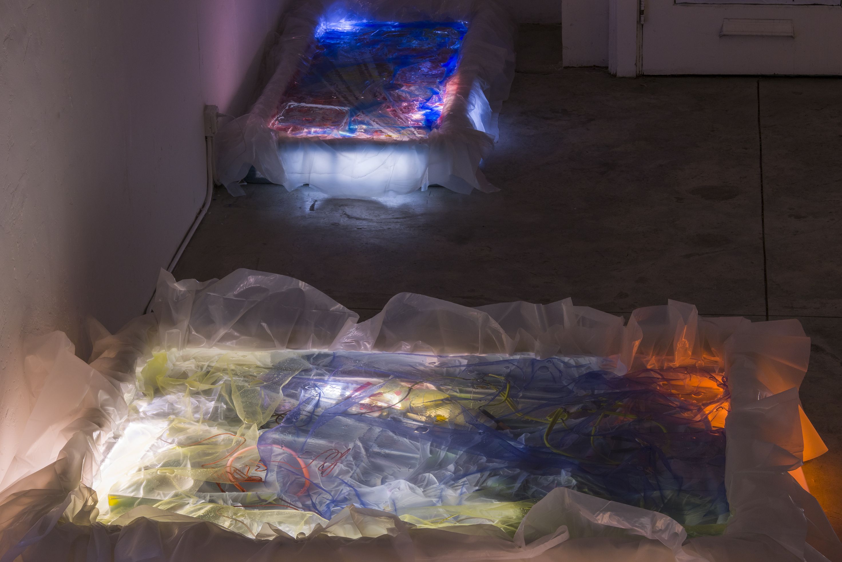 Samara Scott, image 5 of 7
