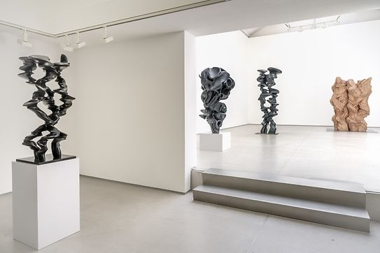 Tony Cragg, Inhabitants: Sculpture at Thaddaeus Ropac, photo 2