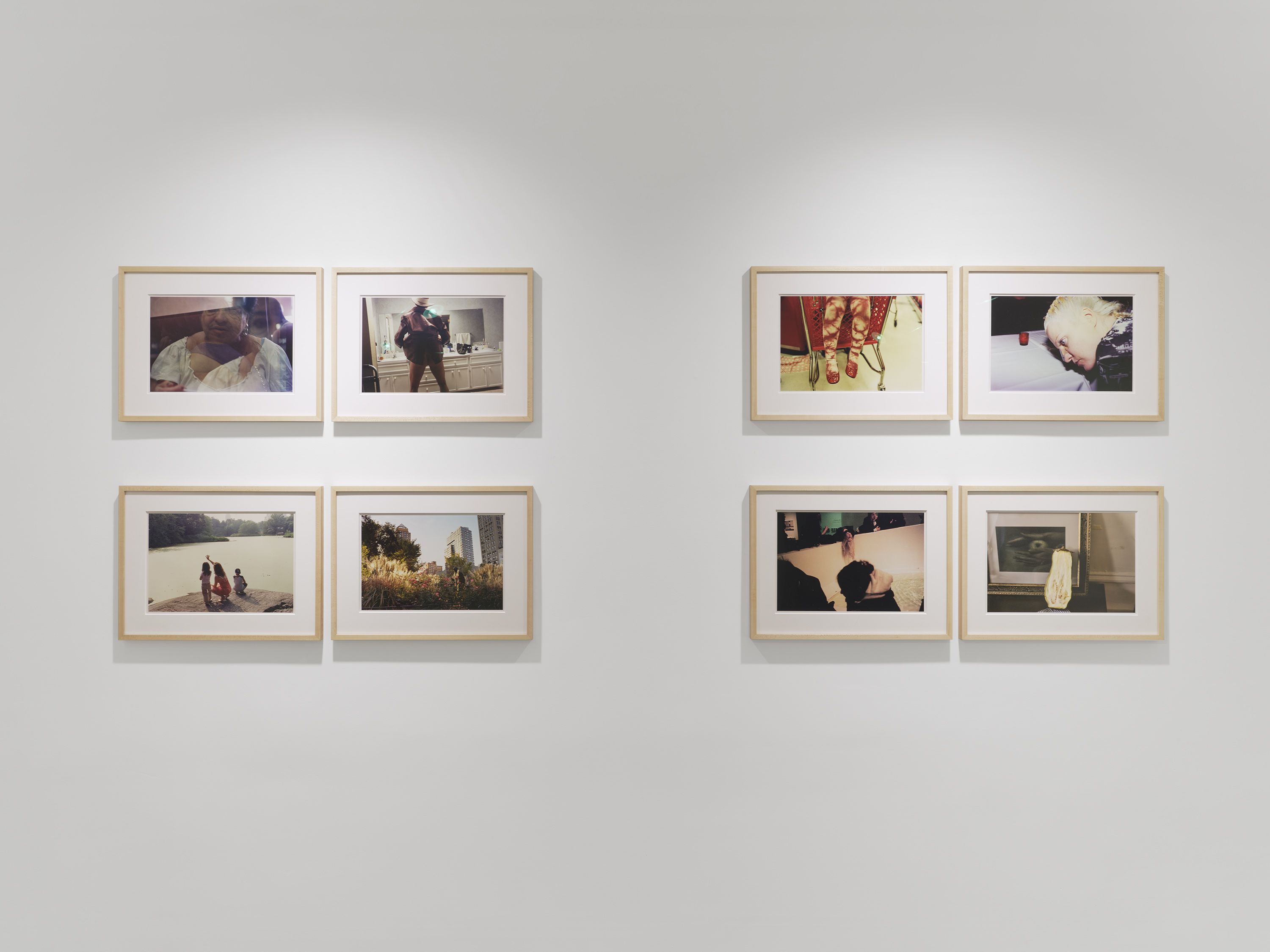 Life Studies, Life Studies at Seizan Gallery, photo 2