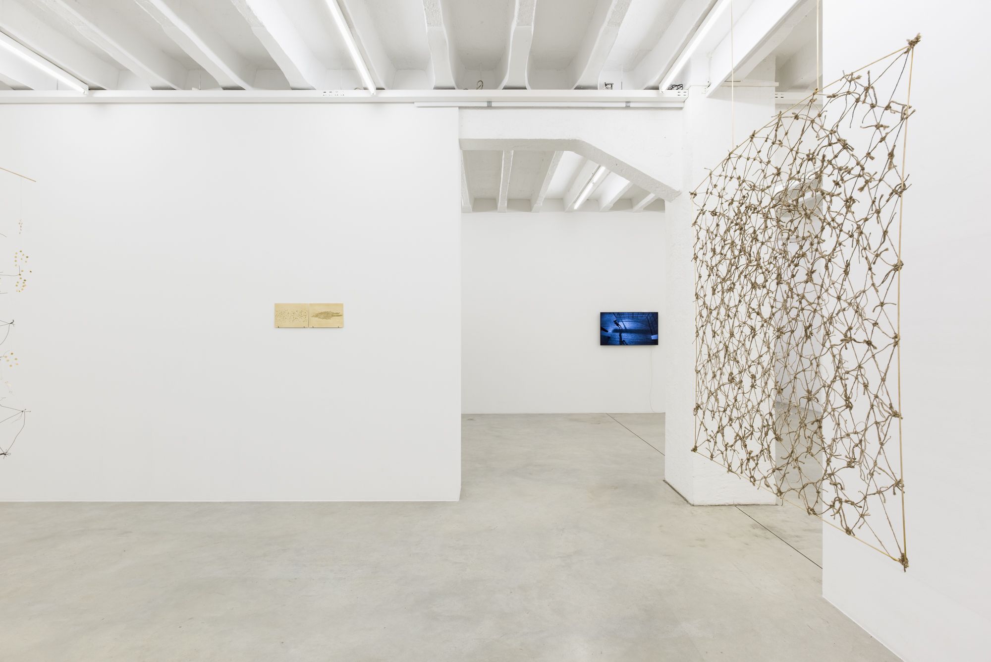 Iza Tarasewicz, image 2 of 3