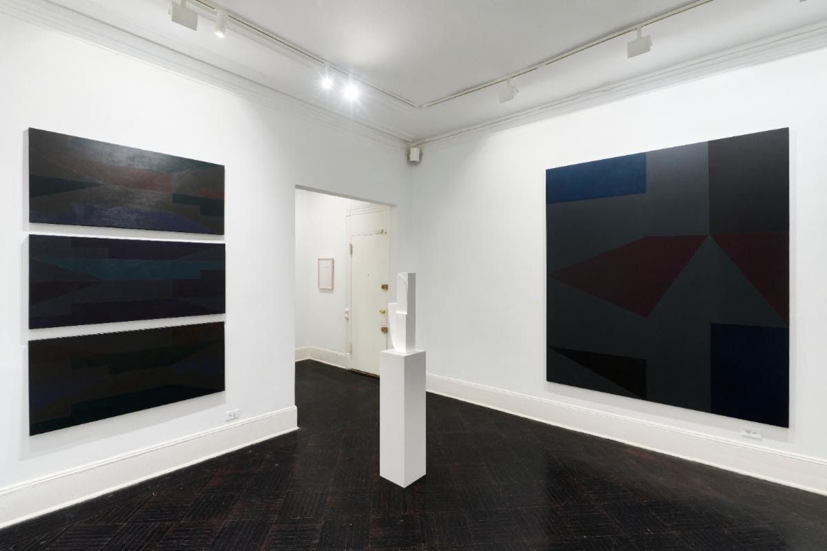 Emilia Azcárate & José Gabriel Fernández, The Body Inherent at Henrique Faria, photo 4