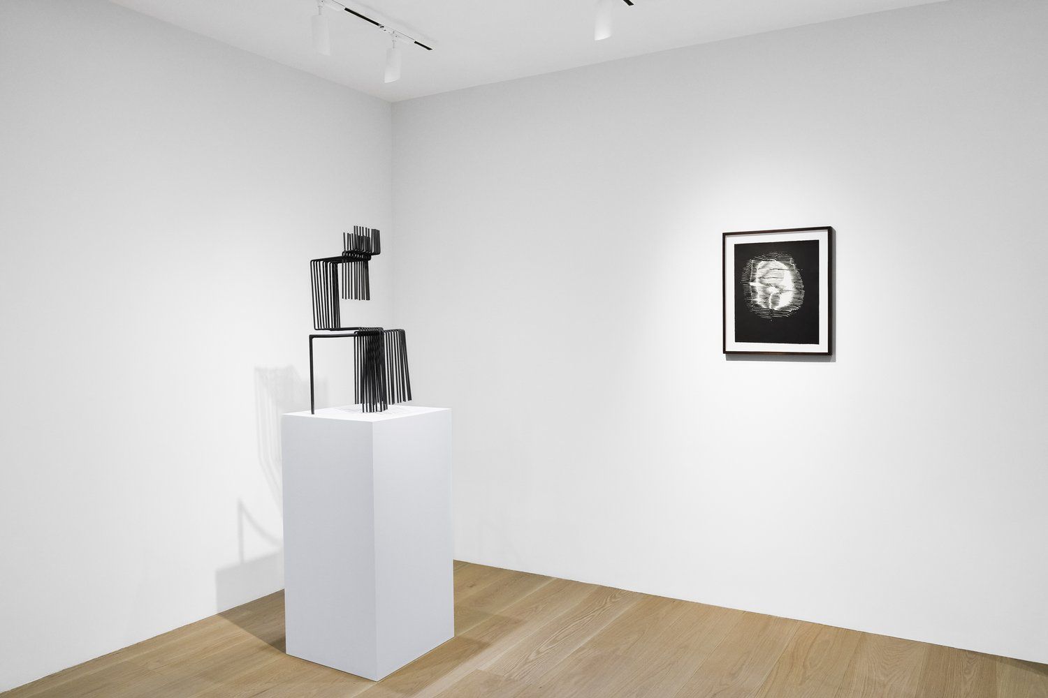 Gego, Lines in Space at LGDR, photo 4