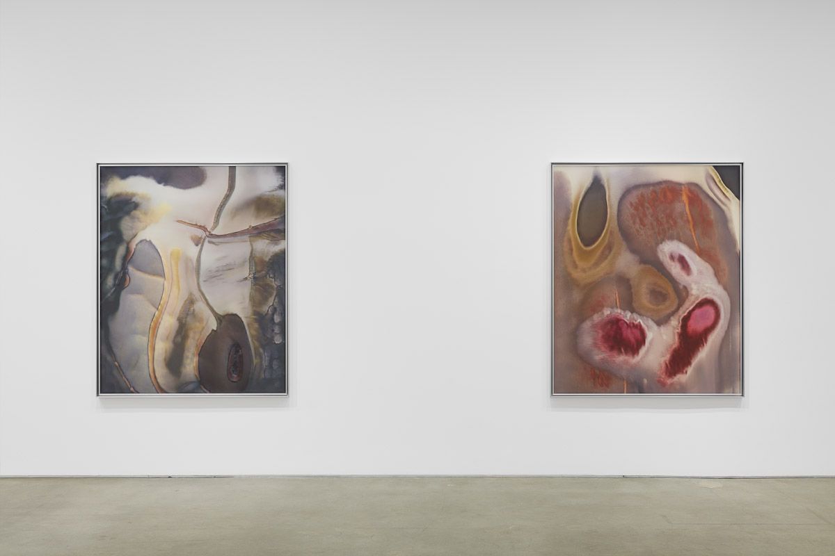 Anicka Yi, ÄLñ§ñ at Gladstone, photo 9