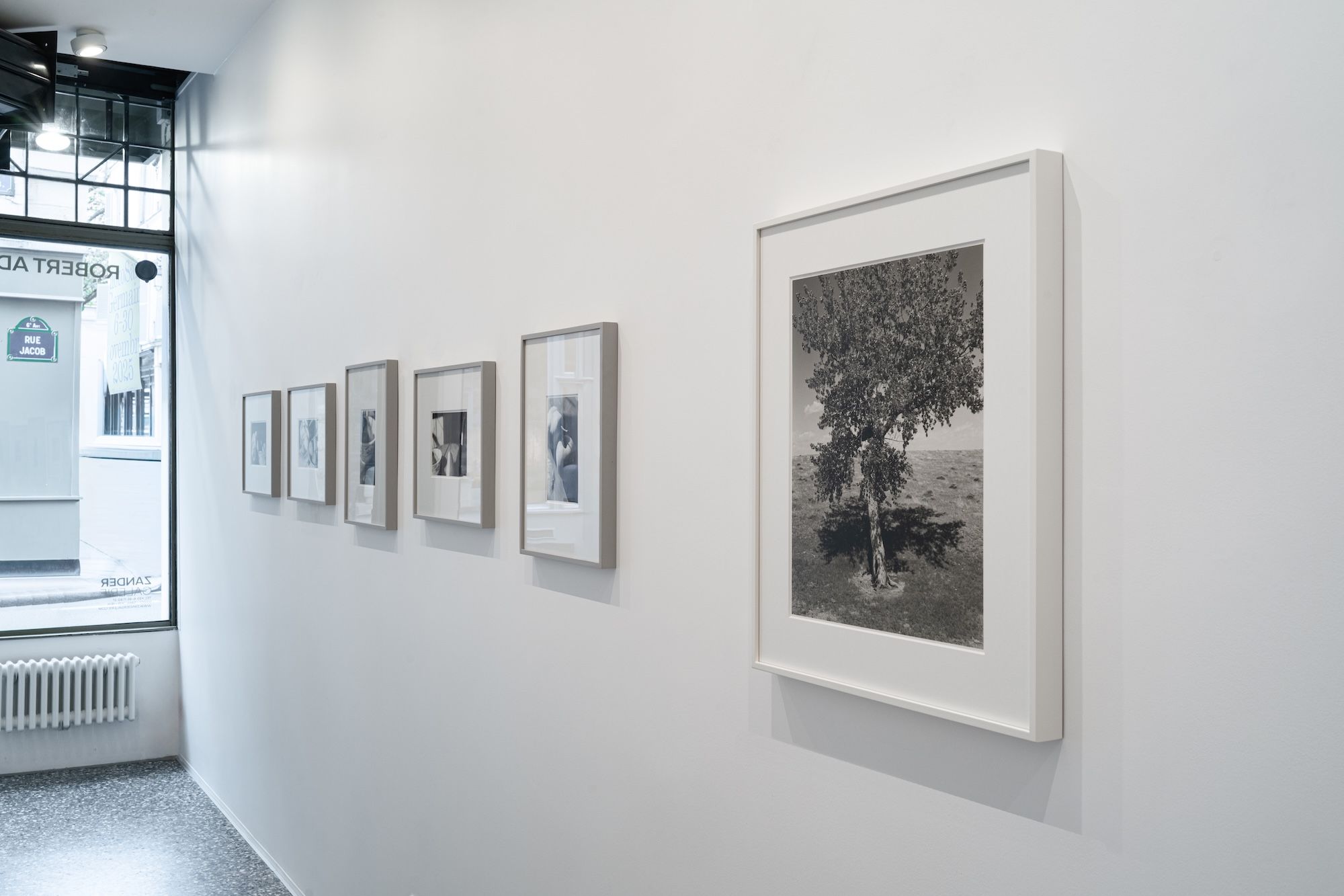 Robert Adams, image 5 of 7