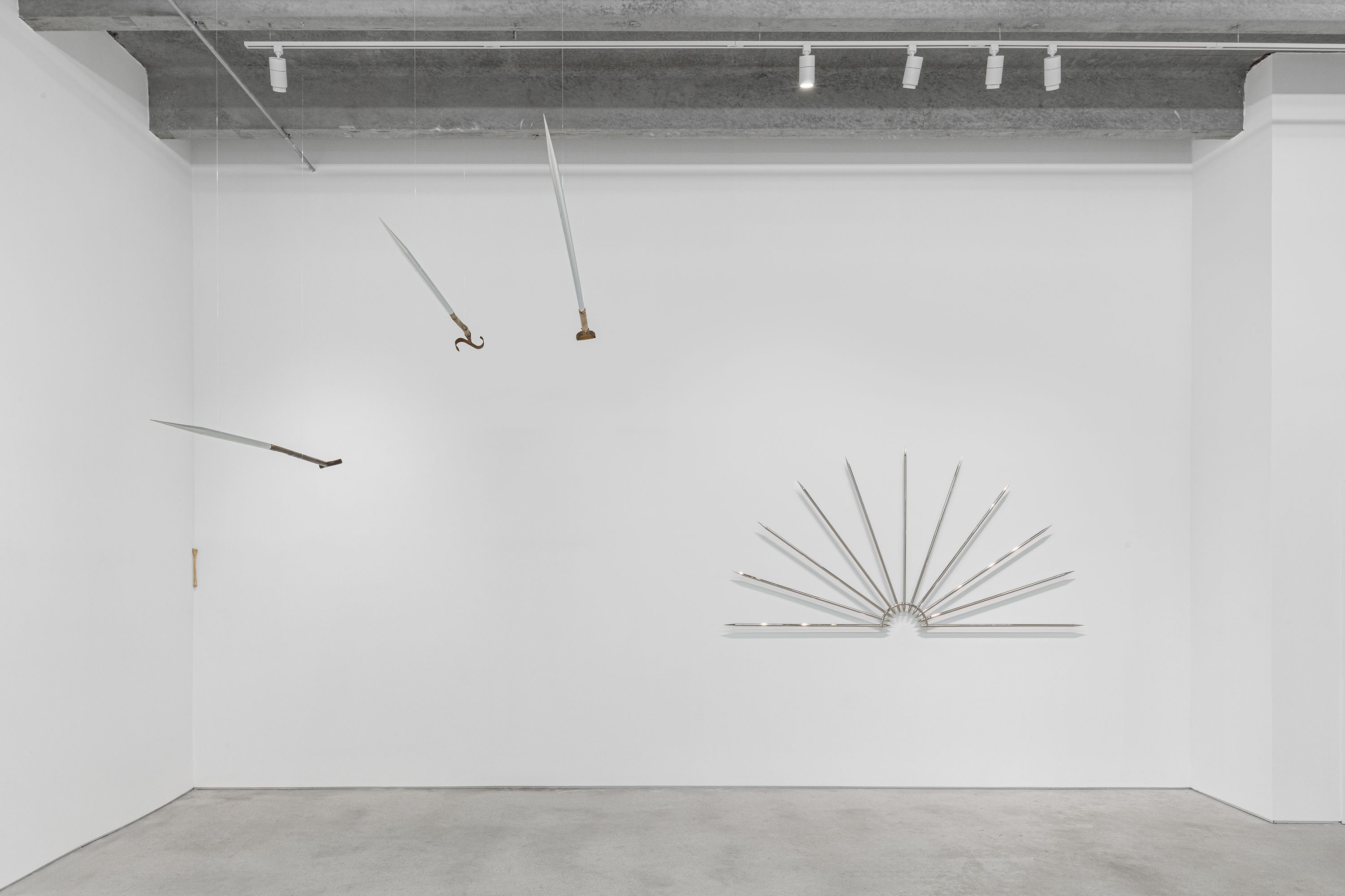 Nikita Kadan, The Radial Bone at Voloshyn, photo 4