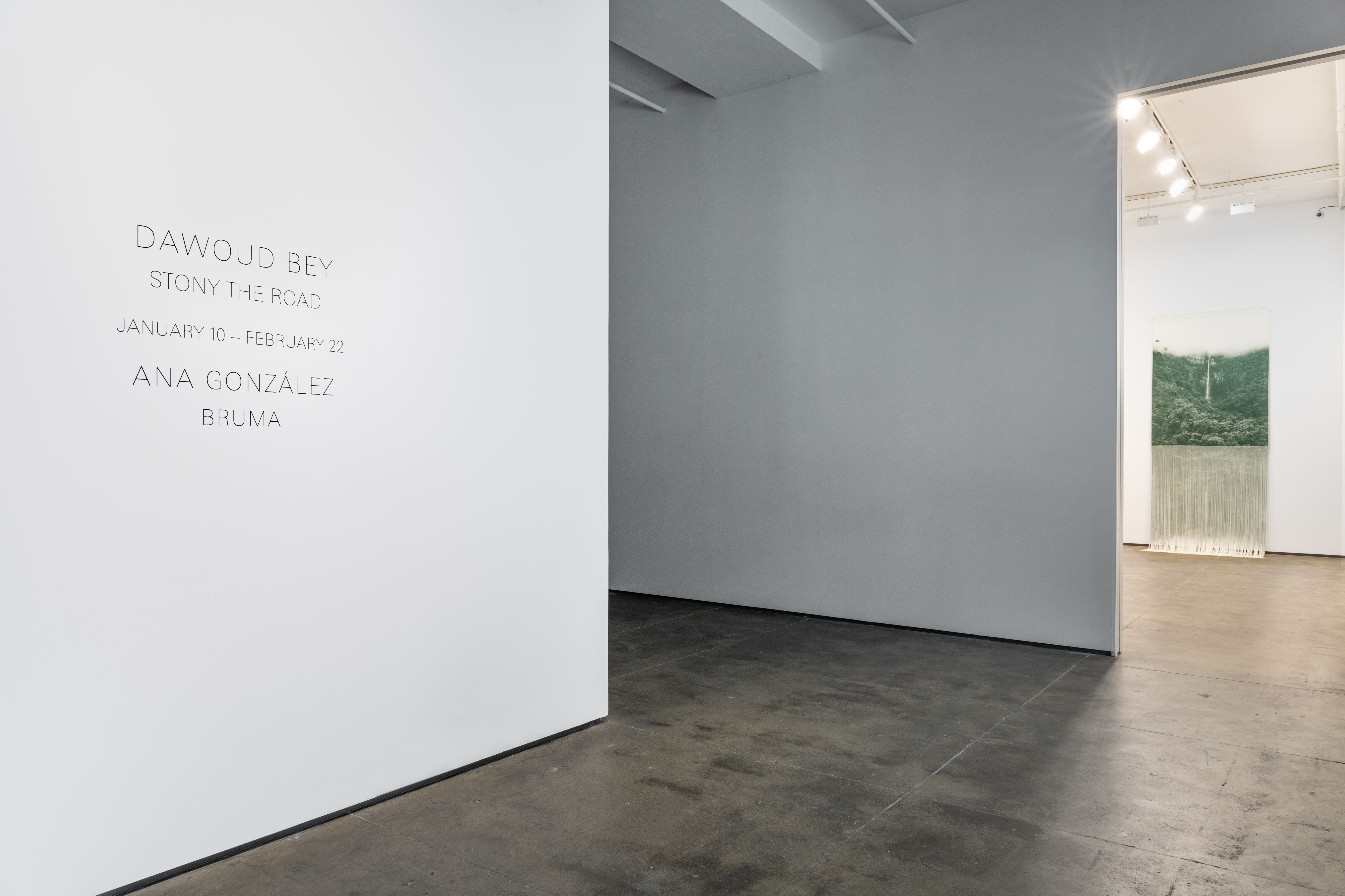 Installation view 6