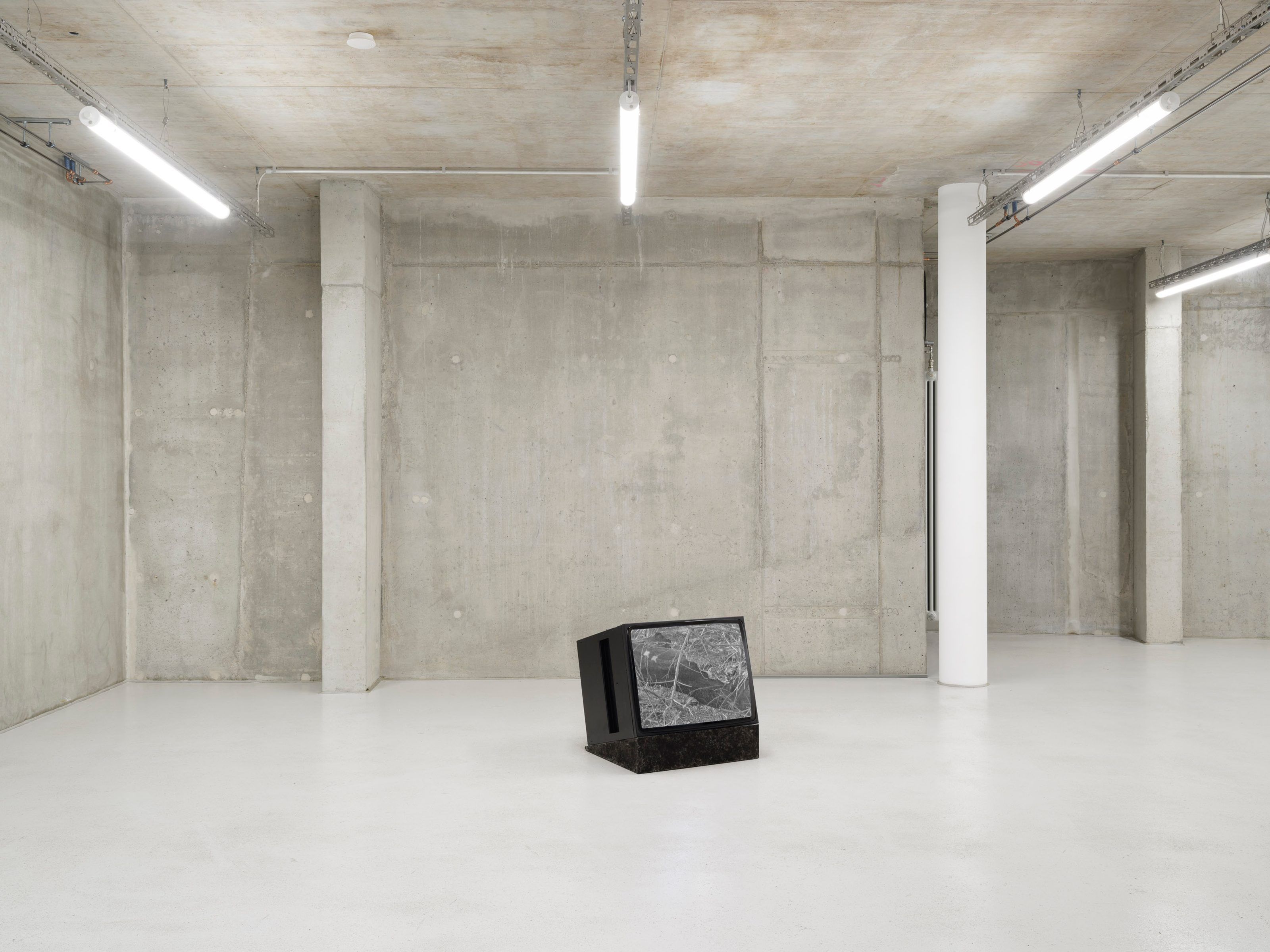 Apophenia, Apophenia at Molitor, photo 6