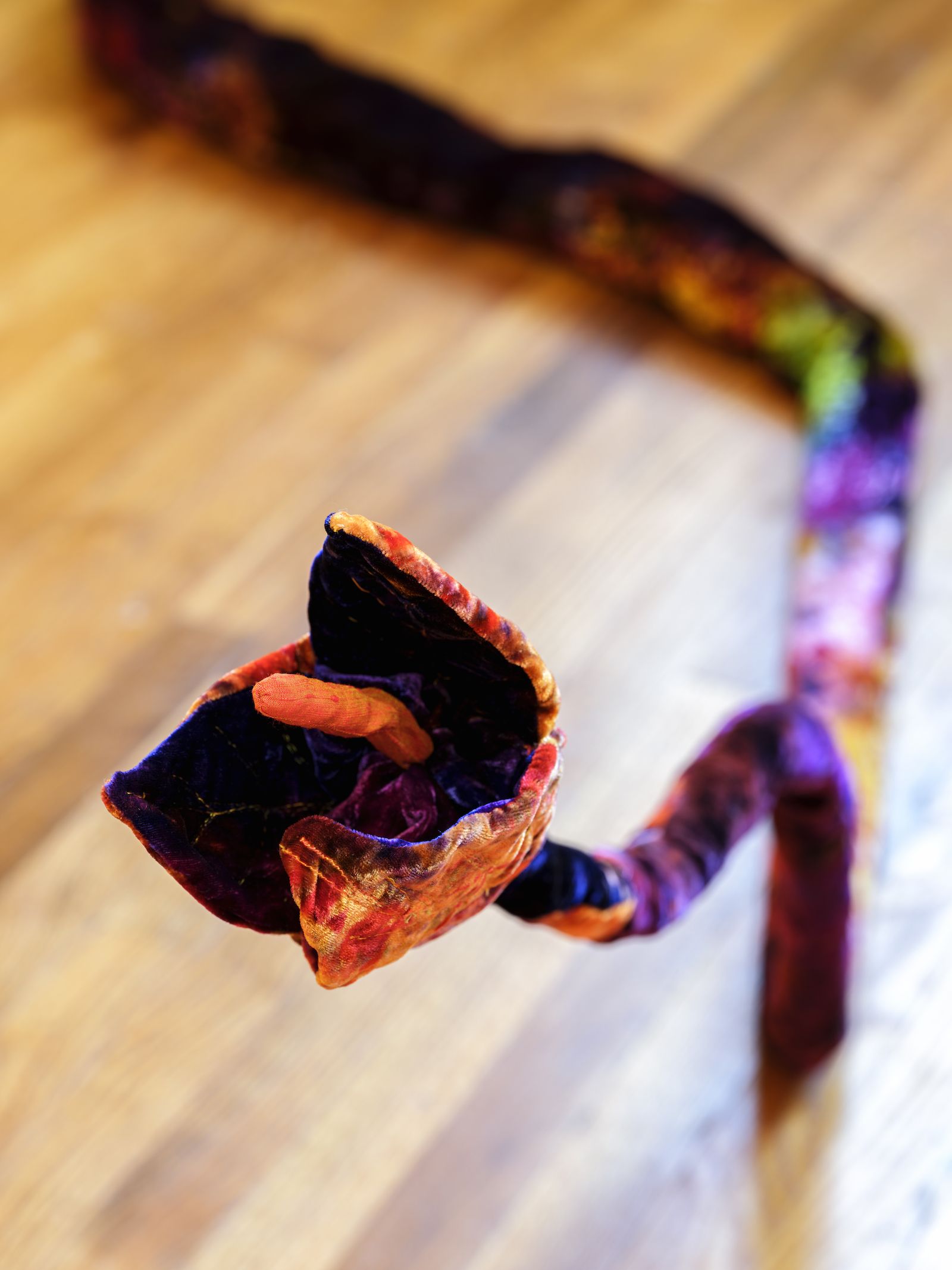 Emily Oliveira, image 12 of 13