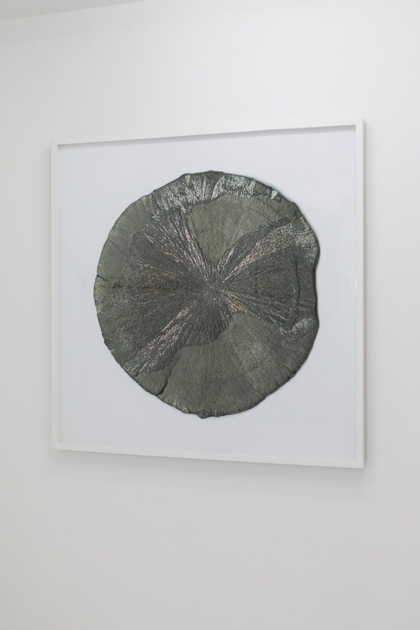 Evariste Richer, Fool's Gold at Emmanuel Barbault, photo 2