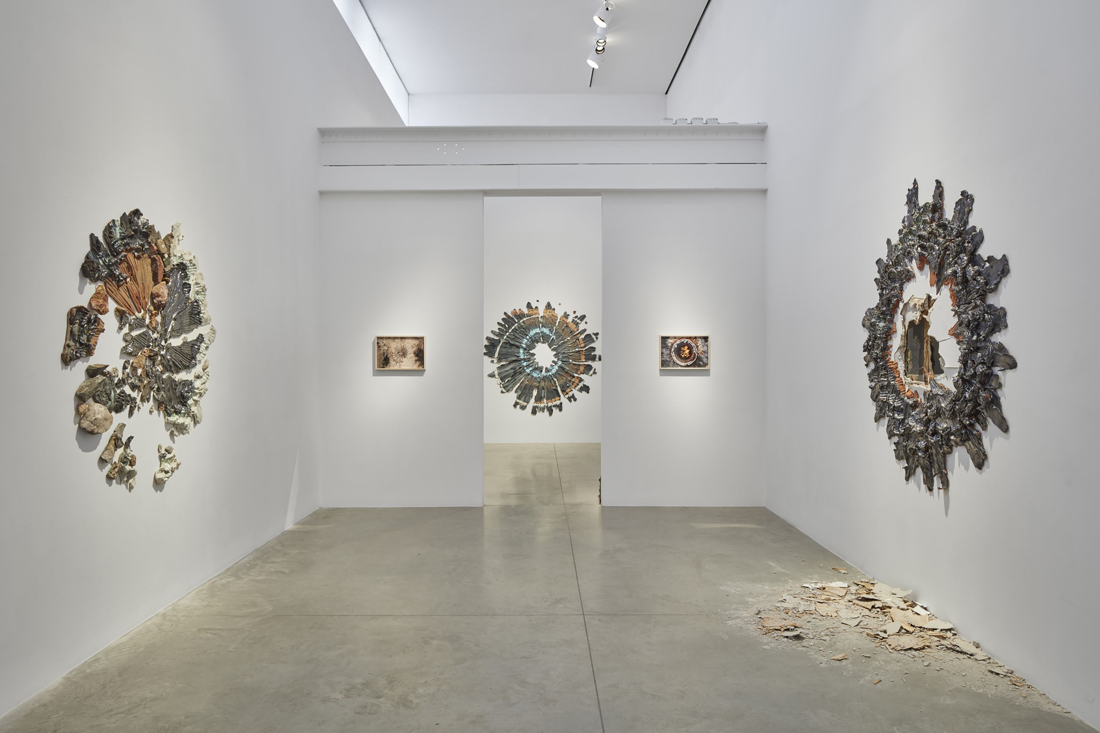 Brie Ruais, Some Things I Know About Being in a Body at Albertz Benda, photo 2