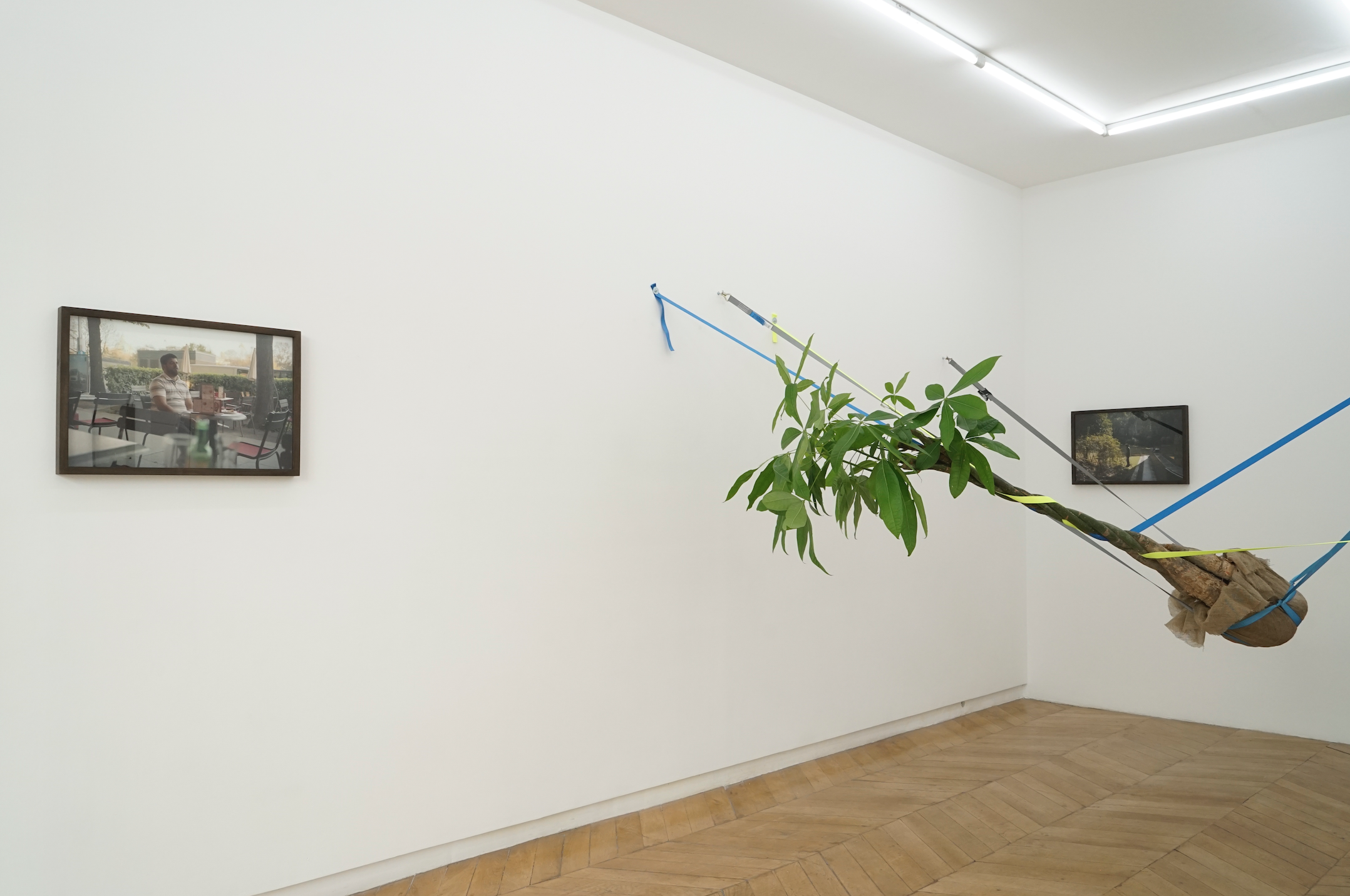 Trevor Yeung, Typhoon No. 9 at Galerie Allen, photo 2