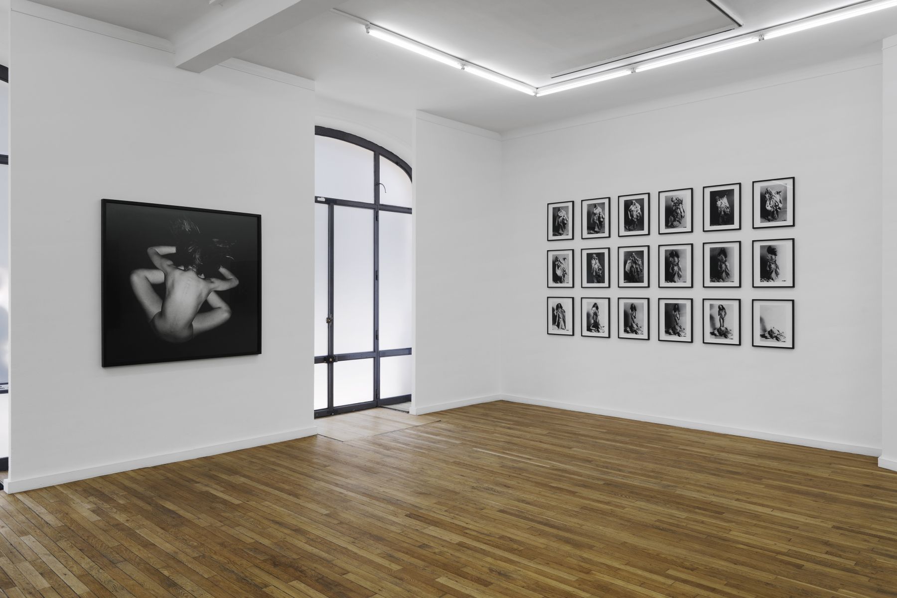Orlan, Historical Striptease at Ceysson & Bénétière, photo 3