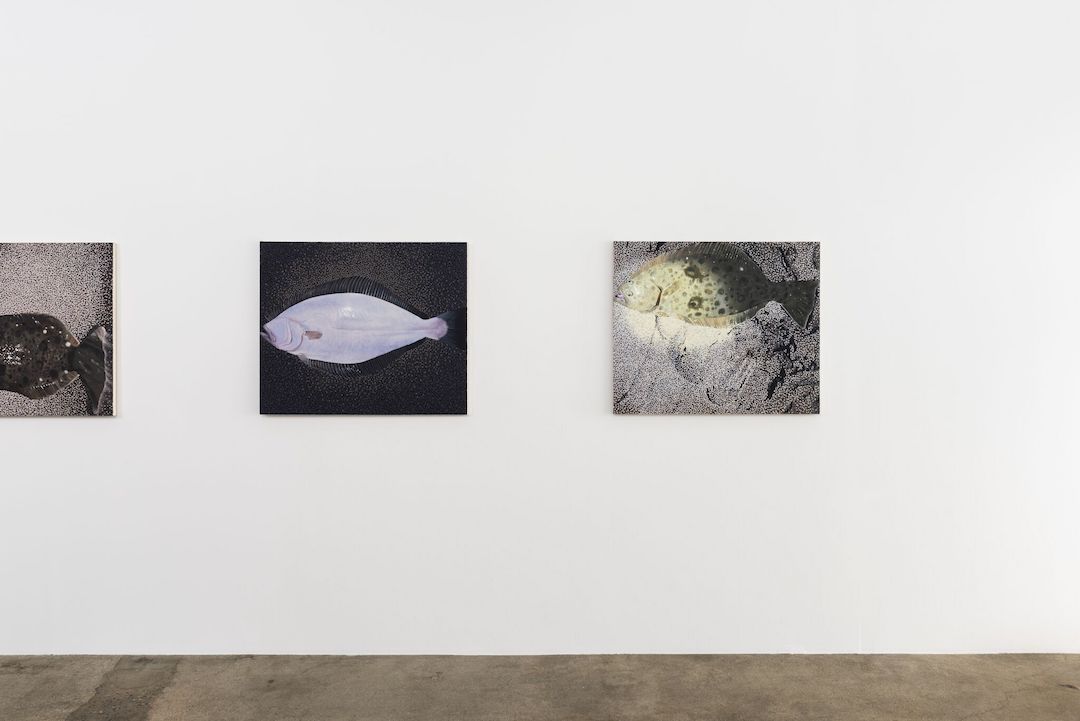 Adam Higgins, Flatfish at Hunter Shaw Fine Art, photo 7