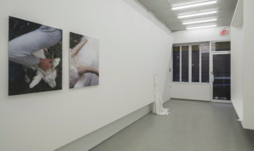 Anna-Sophie Berger, Growing Horns at Ludlow 38, photo 6