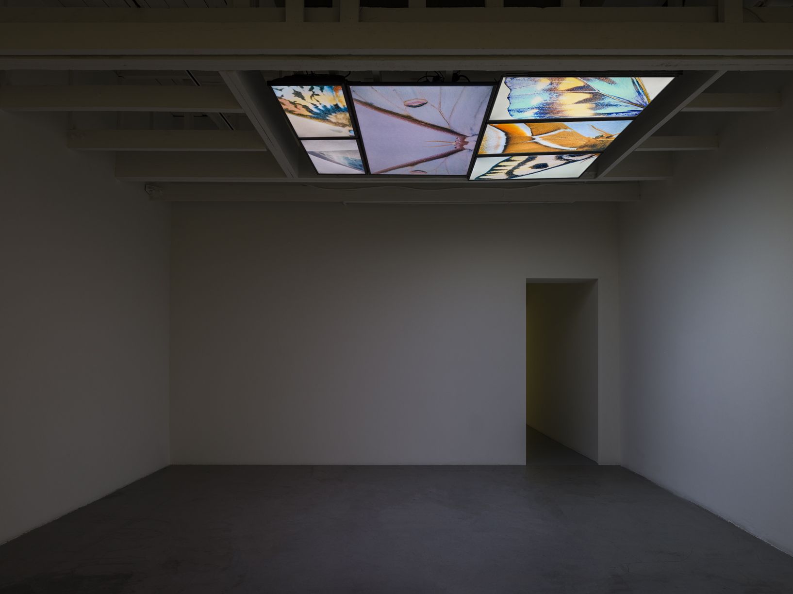 Stitious, Stitious at Michael Benevento, photo 11