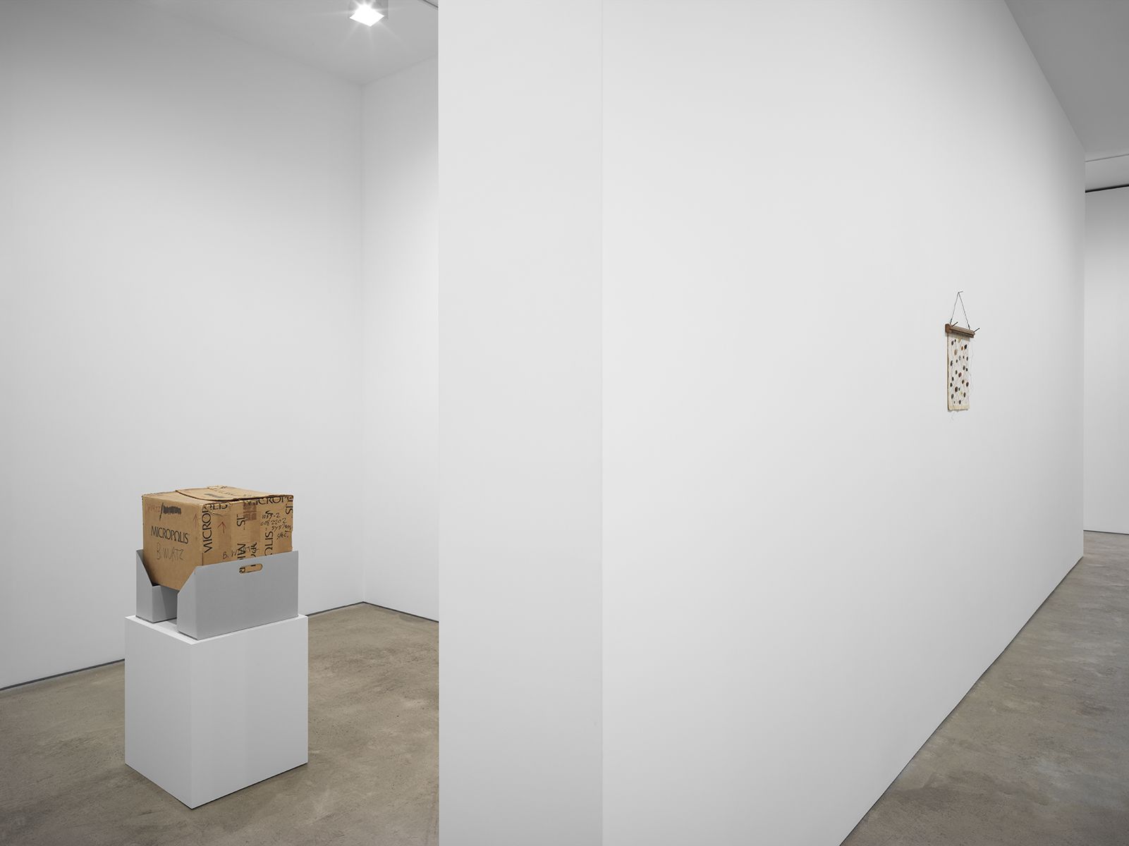 B. Wurtz, image 8 of 12