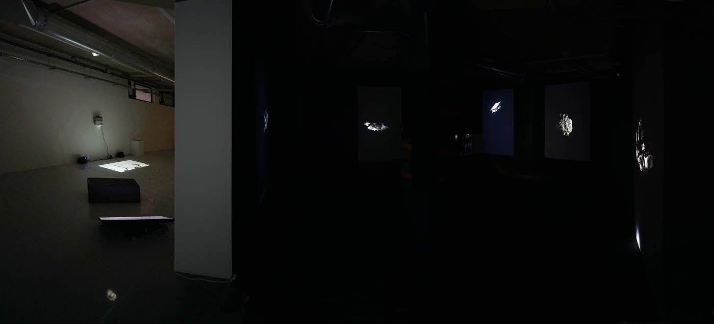Martin Dammann, image 6 of 6
