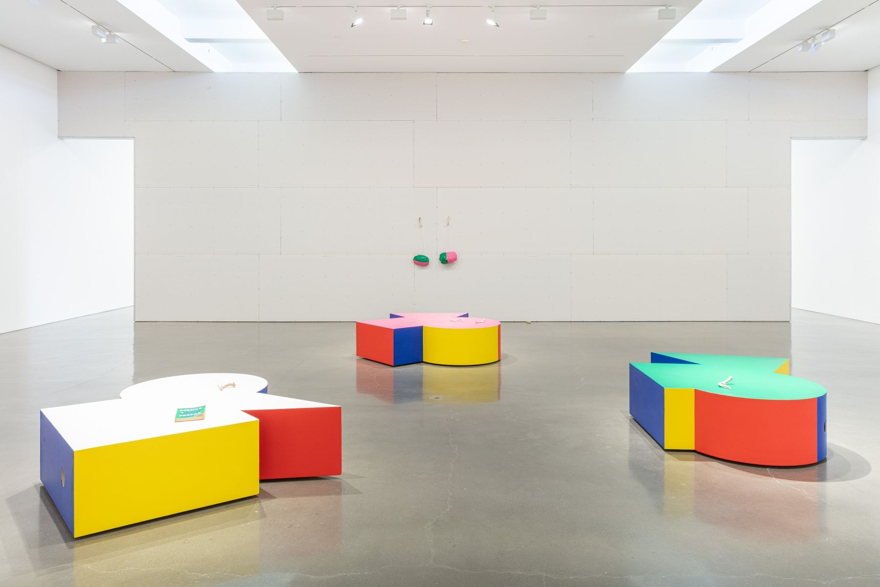 Abraham Cruzvillegas, Tres Sonetos at Regen Projects, photo 4