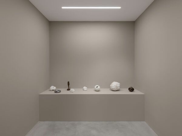 Maria Bartuszová, The Butterfly Effect at Alison Jacques, photo 3