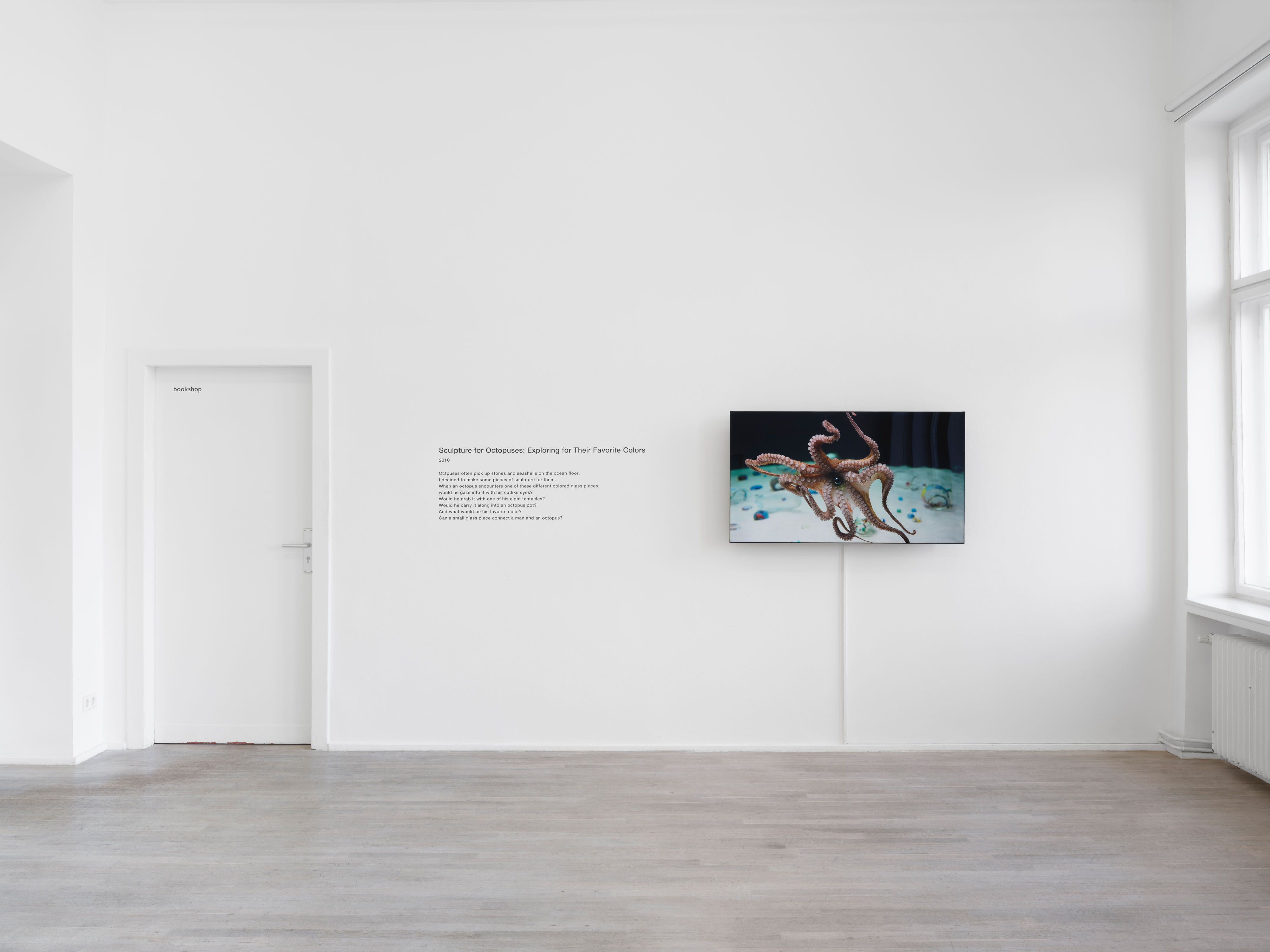 Shimabuku, Self Portrait at Barbara Wien, photo 4