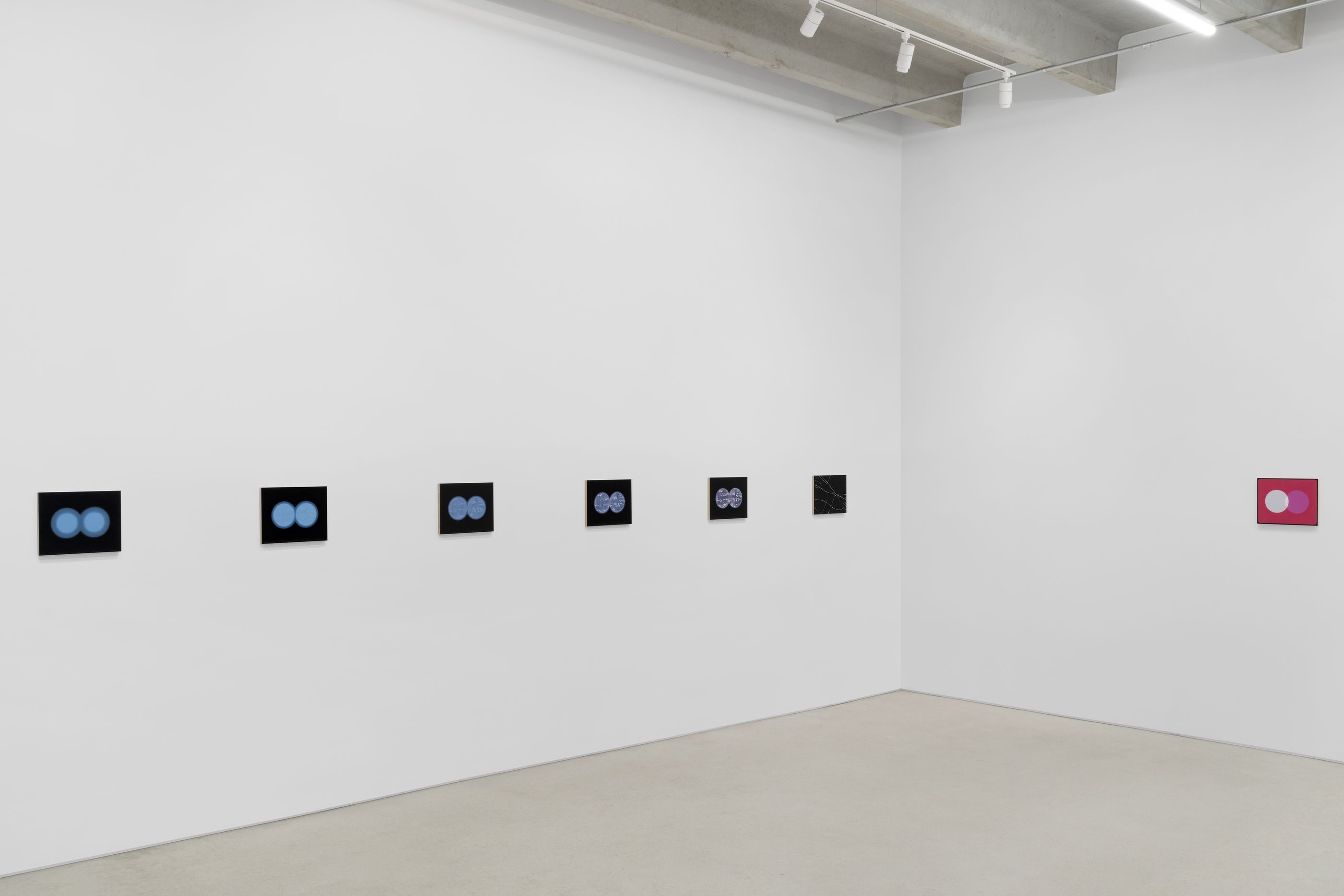 Gonçalo Preto, image 3 of 4