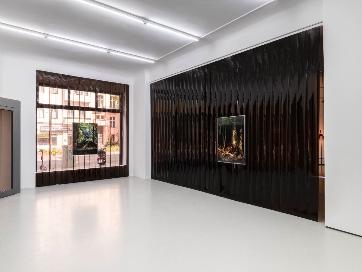 Noémie Goudal, Inhale Exhale at Alexander Levy, photo 2