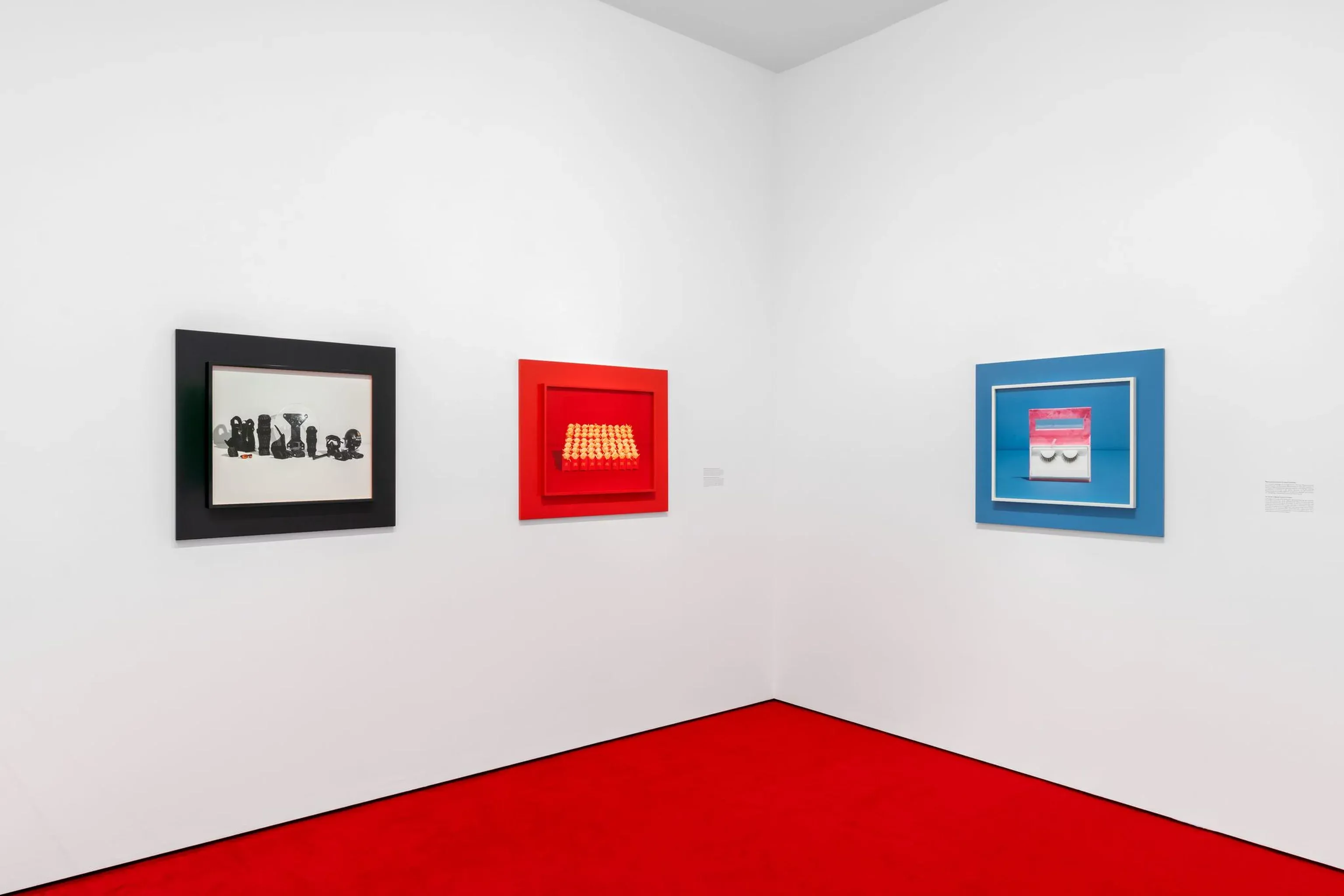 Taryn Simon, The Game at Almine Rech, photo 3