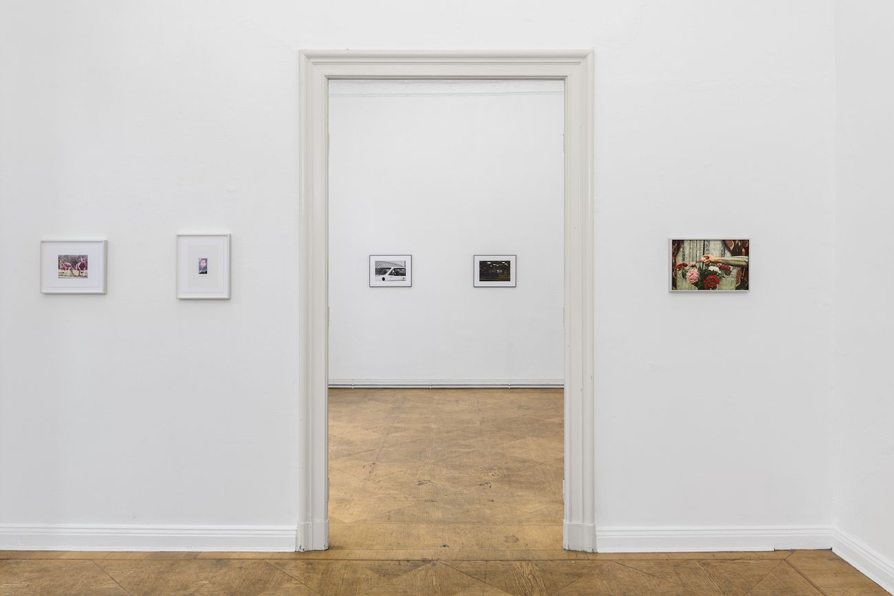 Lucien Samaha, The Price of Gas & First Digitals at Schiefe Zähne, photo 4