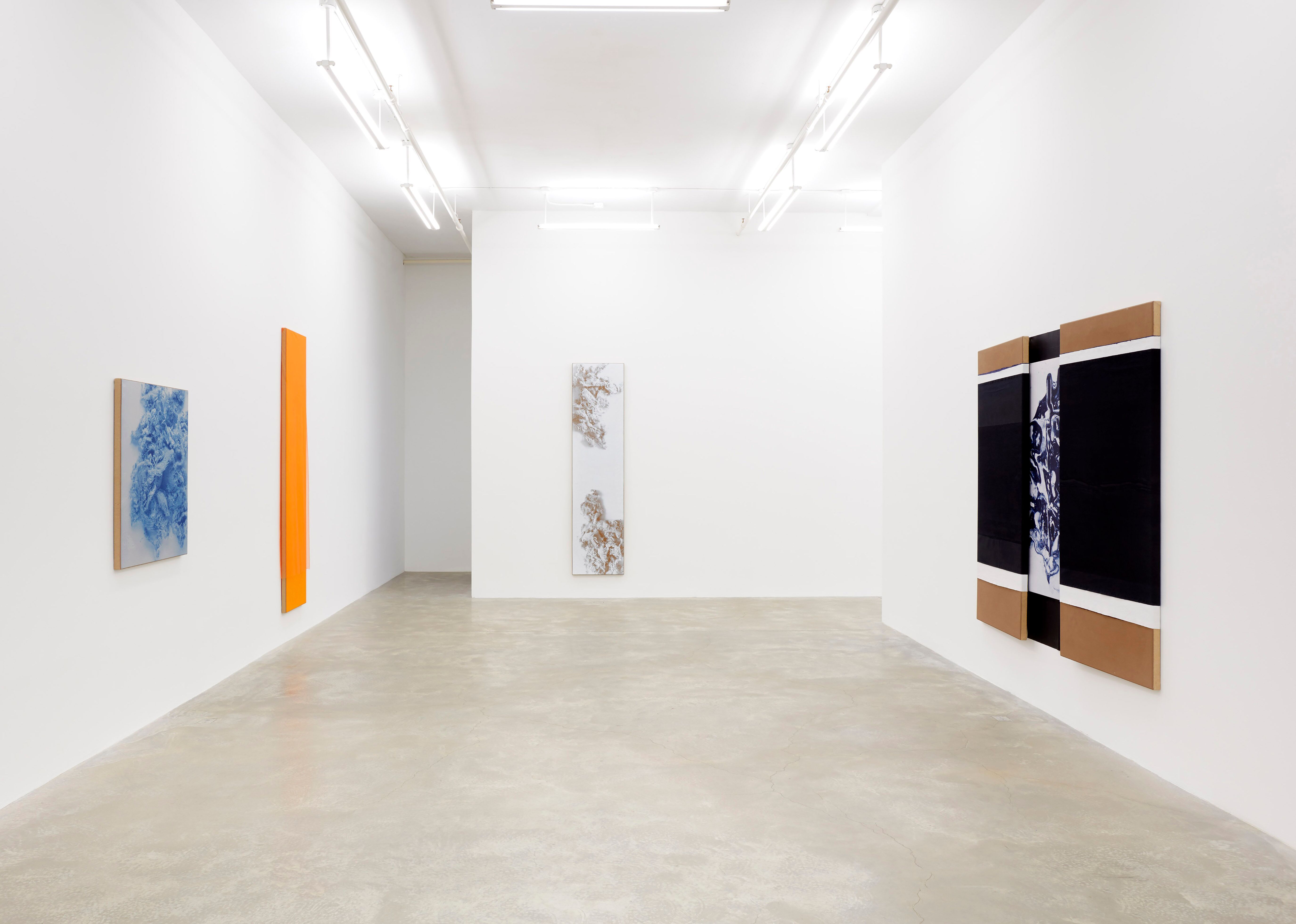 N. Dash, N. Dash at Casey Kaplan, photo 12
