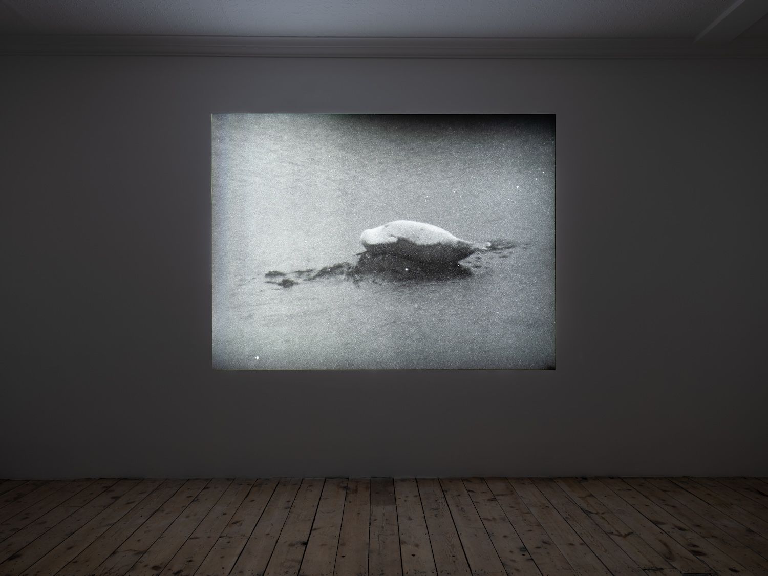 Shen Xin, Mink and Berry at Tina, photo 8