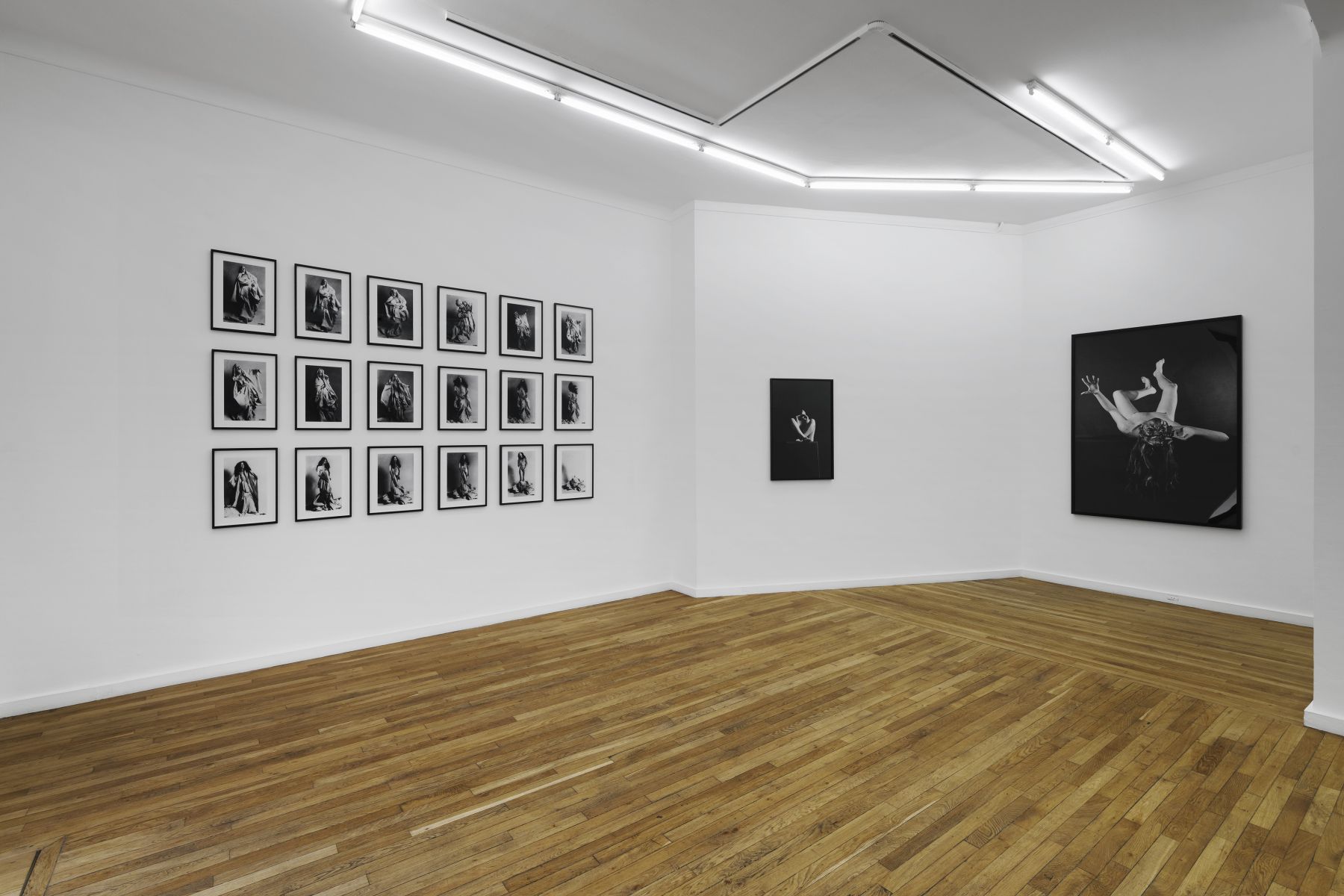 Orlan, Historical Striptease at Ceysson & Bénétière, photo 4