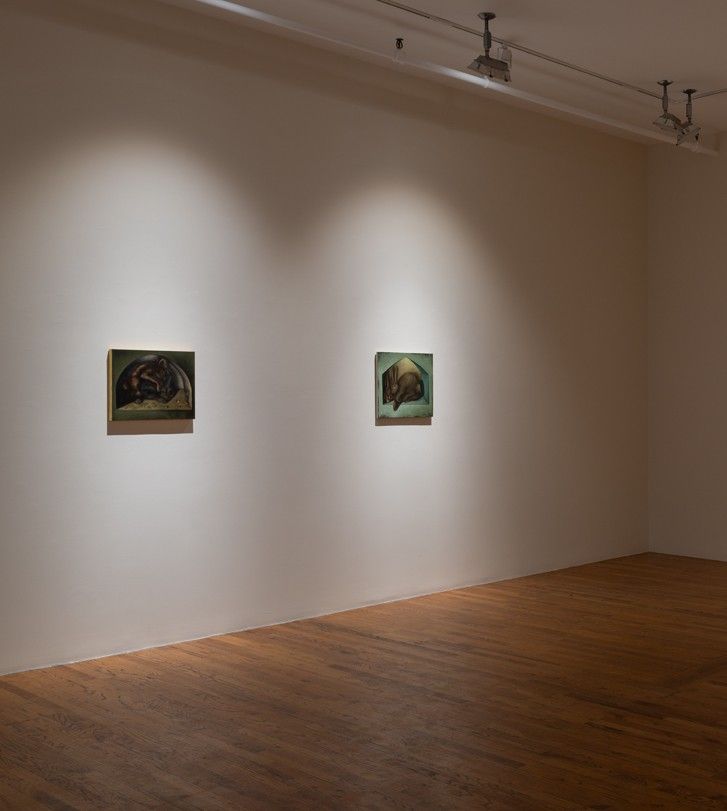 Lewis Hammond, The Rabbits at 47 Canal, photo 4