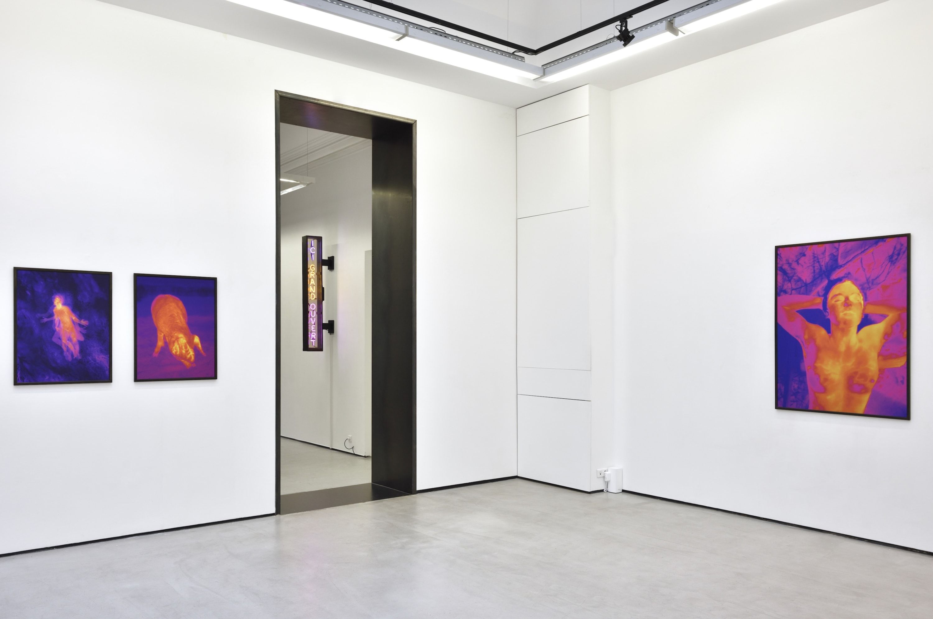 Smith, Dami at Christophe Gaillard, photo 4