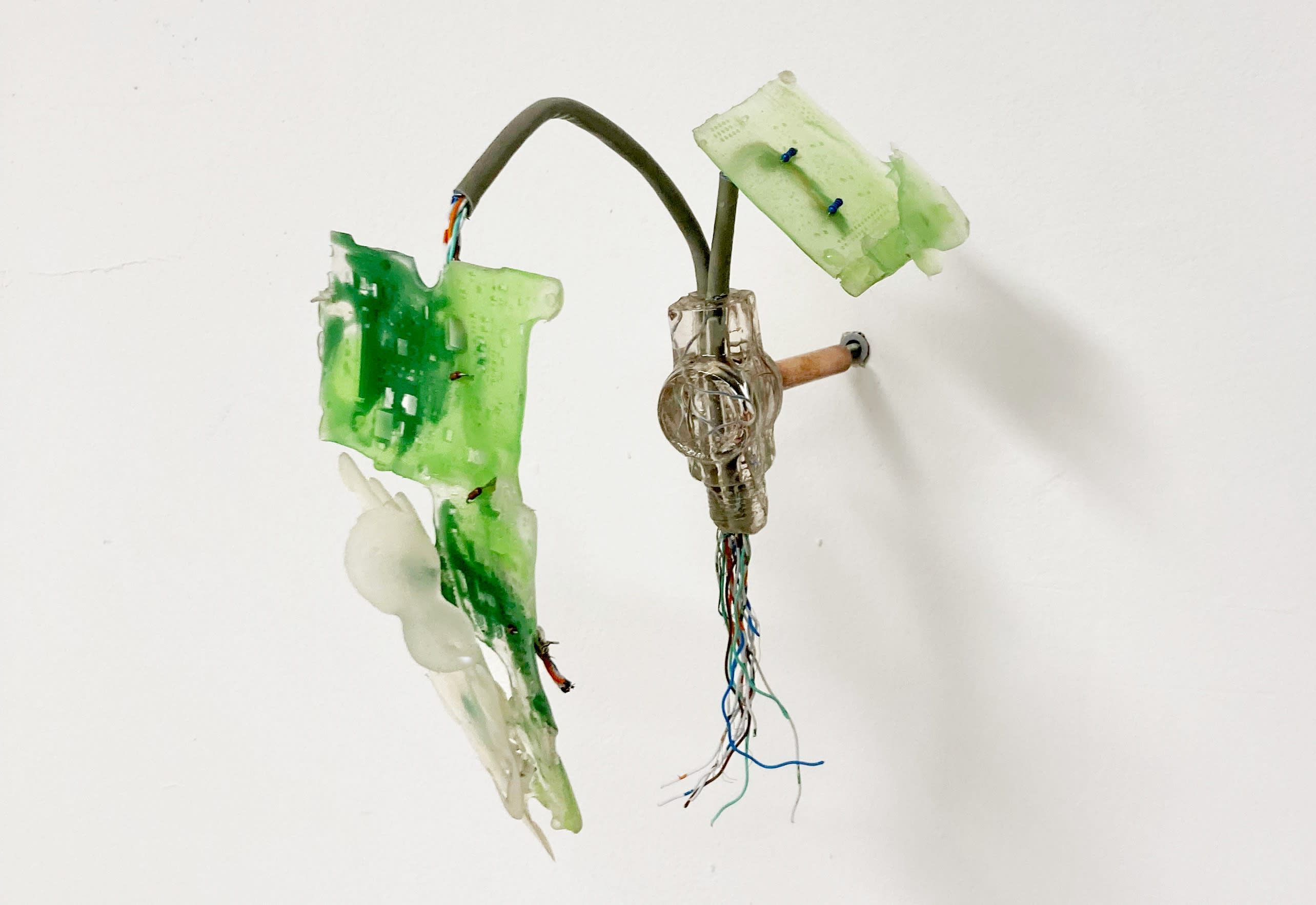 Permission to Bloom, Permission to Bloom at Don't Look Projects, photo 2