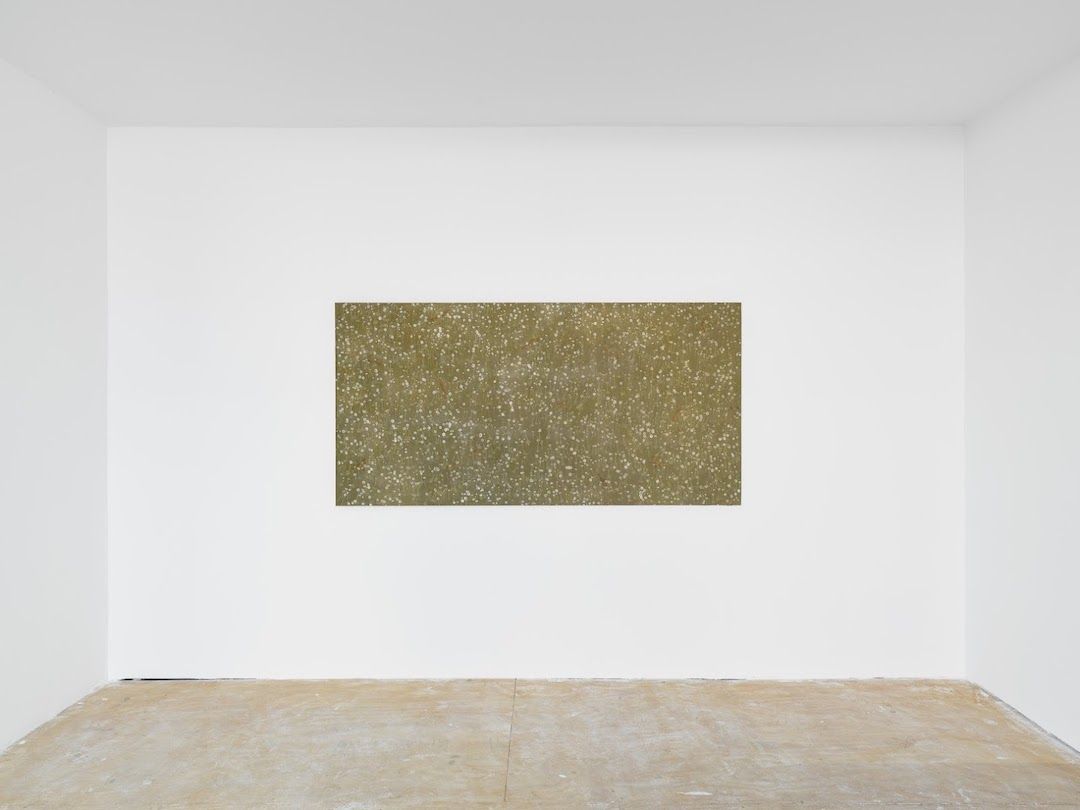 Francesco Cima, Ladra Terra at Amanita, photo 7
