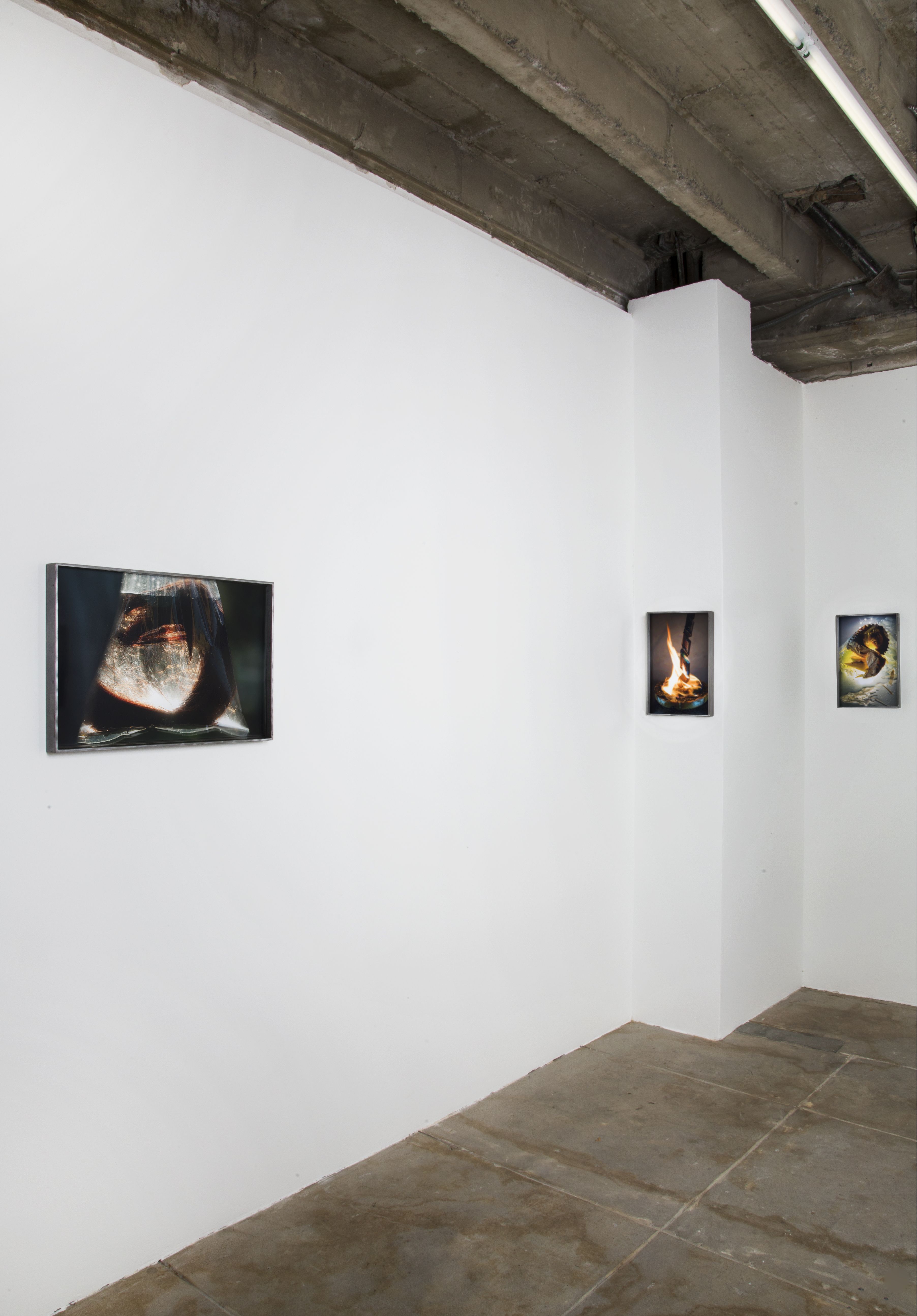 Diane Severin Nguyen, Flesh Before Body at Bad Reputation, photo 3