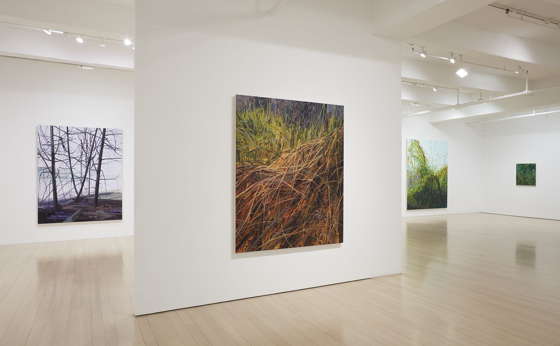 Claire Sherman, Intuor at DC Moore, photo 3