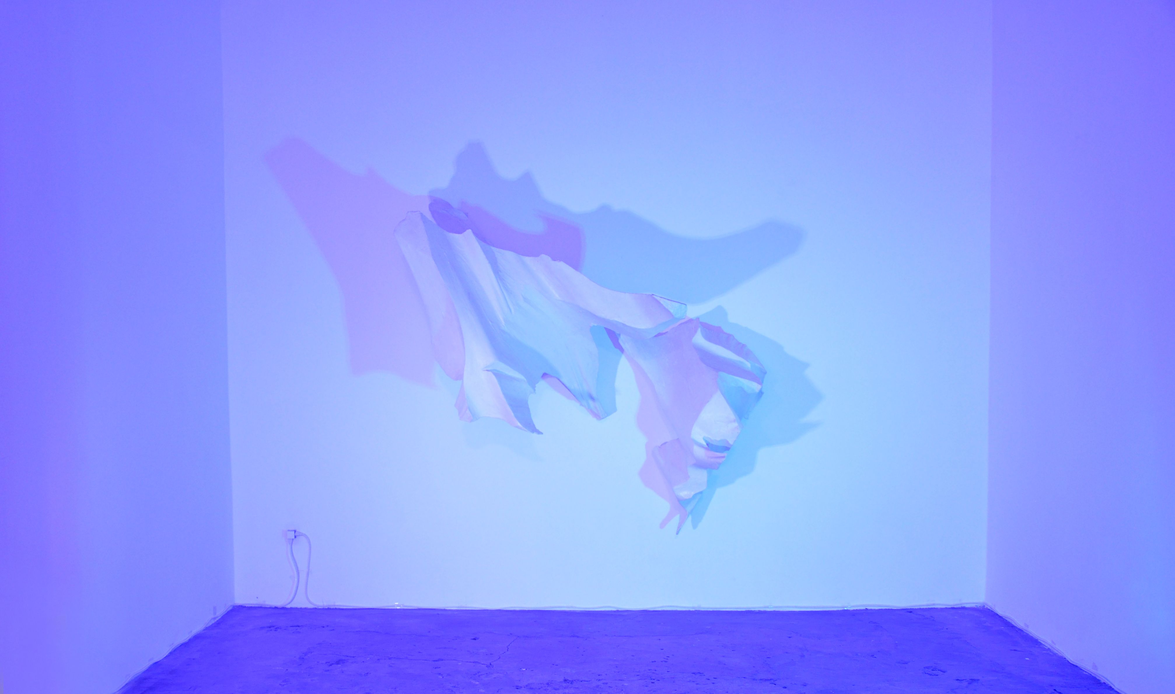 Kristan Marvell, The Quiddity of Presence at Museum as Retail Space, photo 8