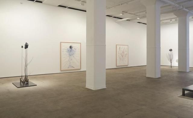 Installation view 12