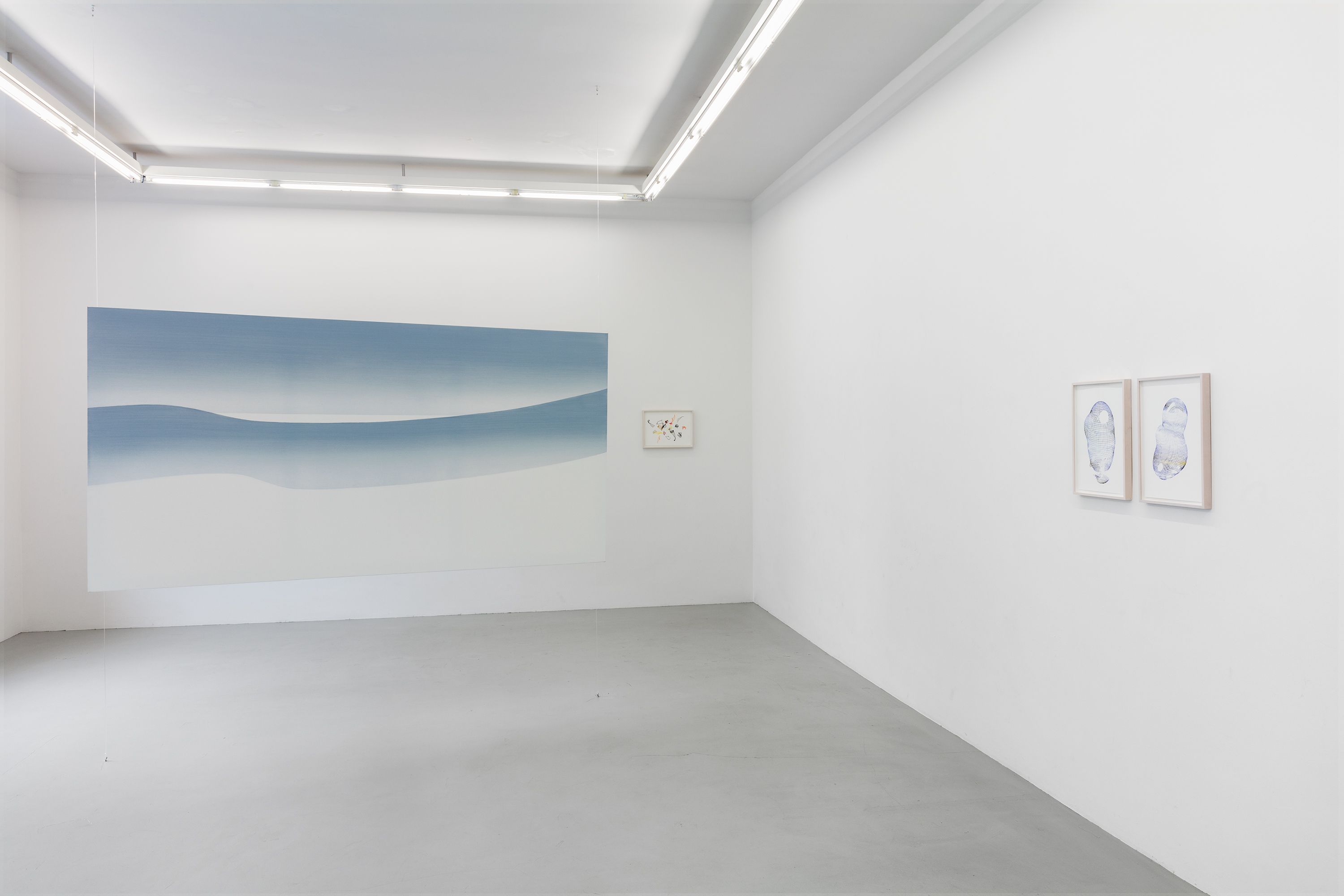 New Dawn, New Dawn at Neumeister Bar-Am, photo 2