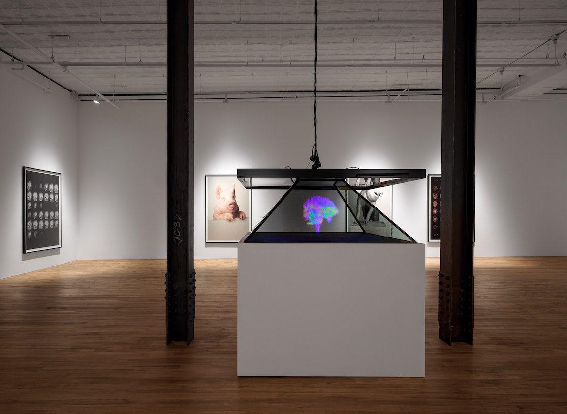 Heji Shin, The Big Nudes at 52 Walker, photo 6