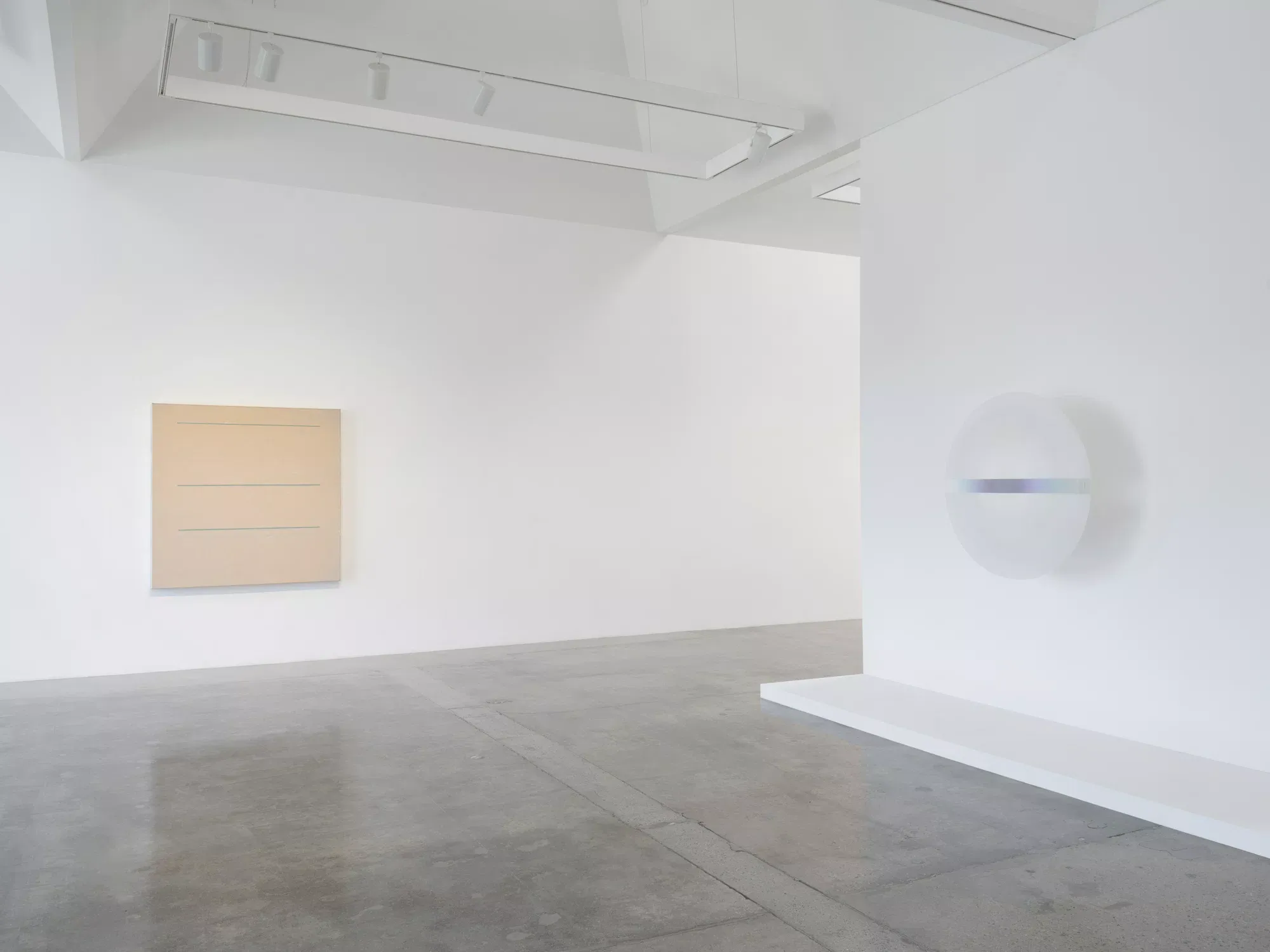 Robert Irwin, Robert Irwin at Pace Gallery, photo 2