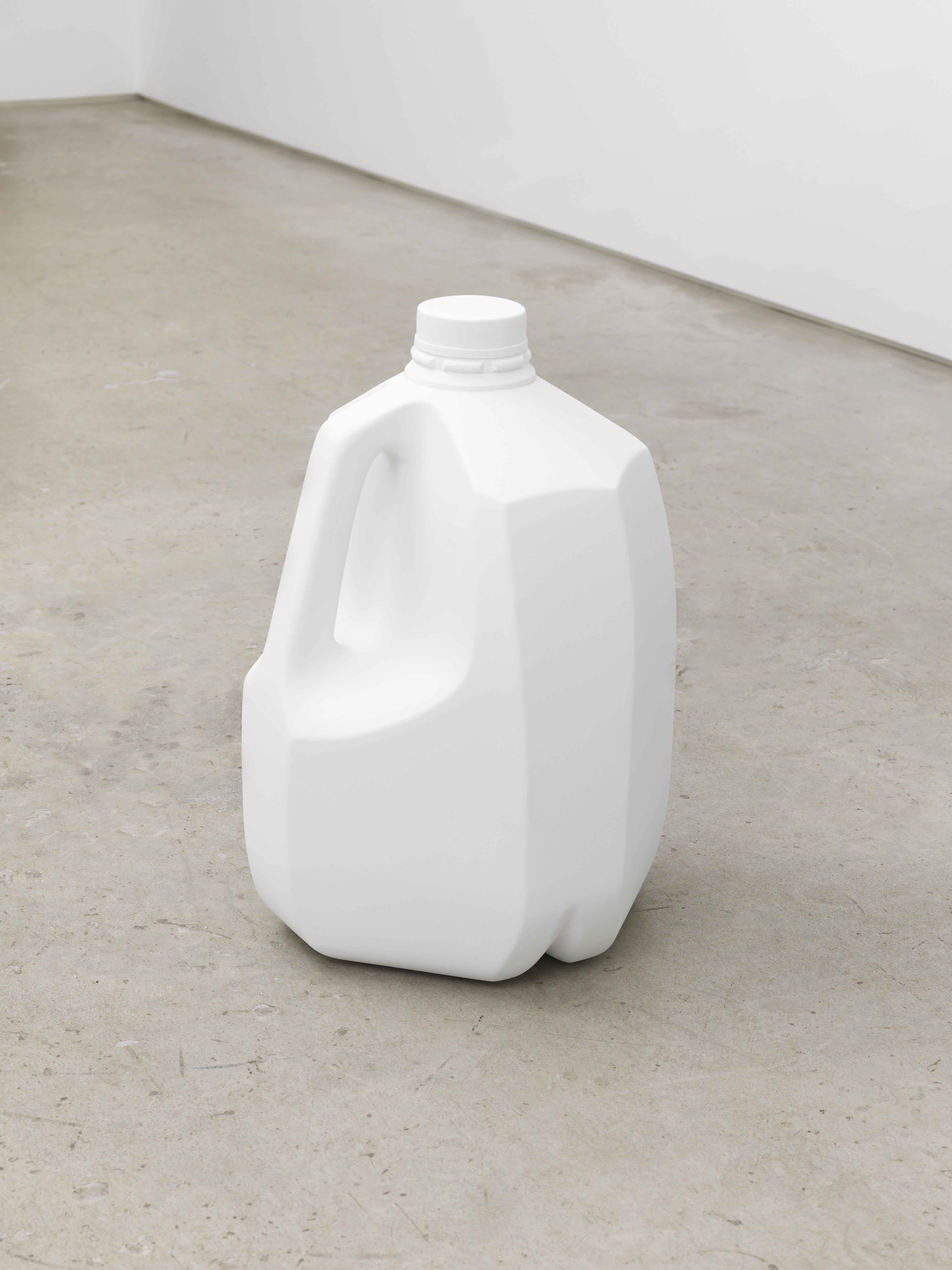 Nathaniel Robinson, No One's Things at Magenta Plains, photo 3