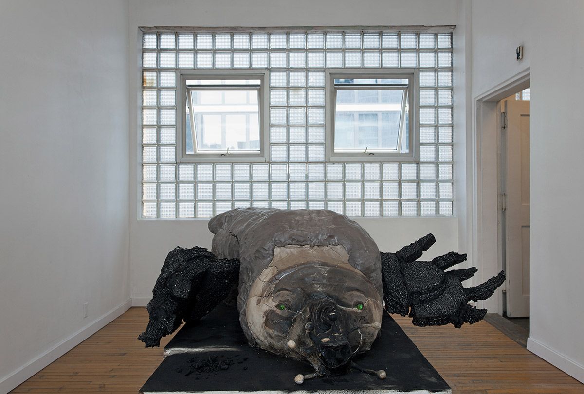 Andrew Ross, Holes at False Flag, photo 5