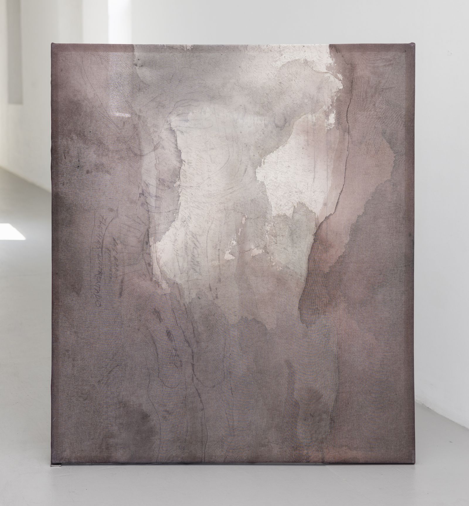 Rosario Zorraquín, Ocelli at Revolver Galeria, photo 4
