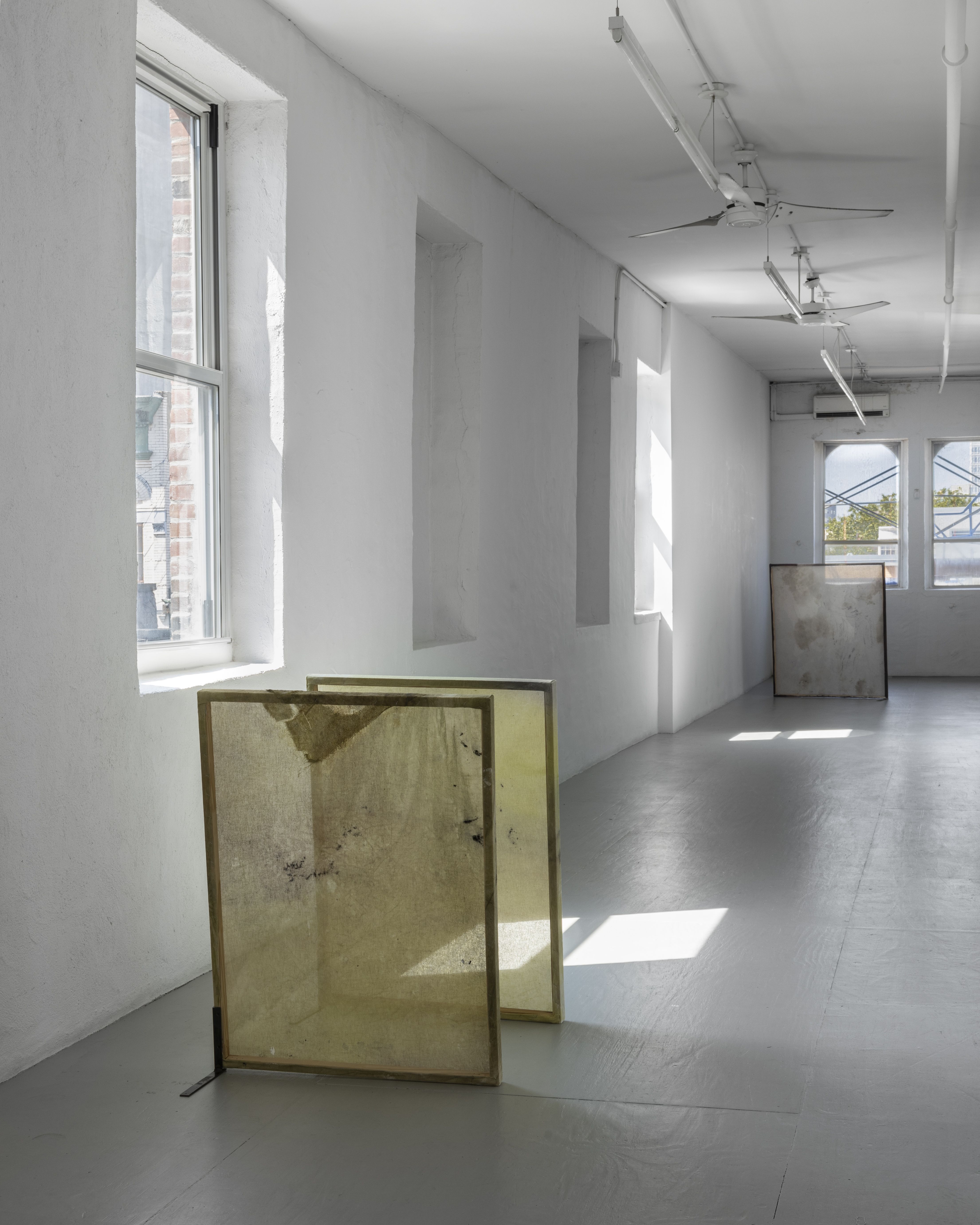 Rosario Zorraquín, Ocelli at Revolver Galeria, photo 3