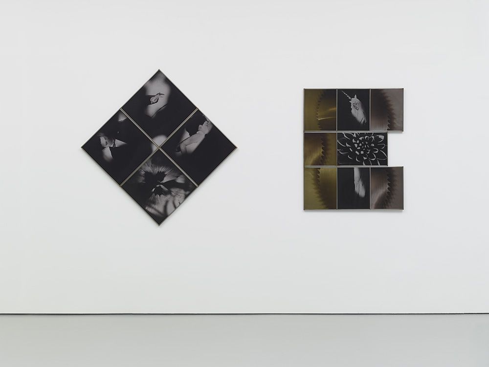 Birgit Jürgenssen, Birgit Jürgenssen at Fergus McCaffrey, photo 5