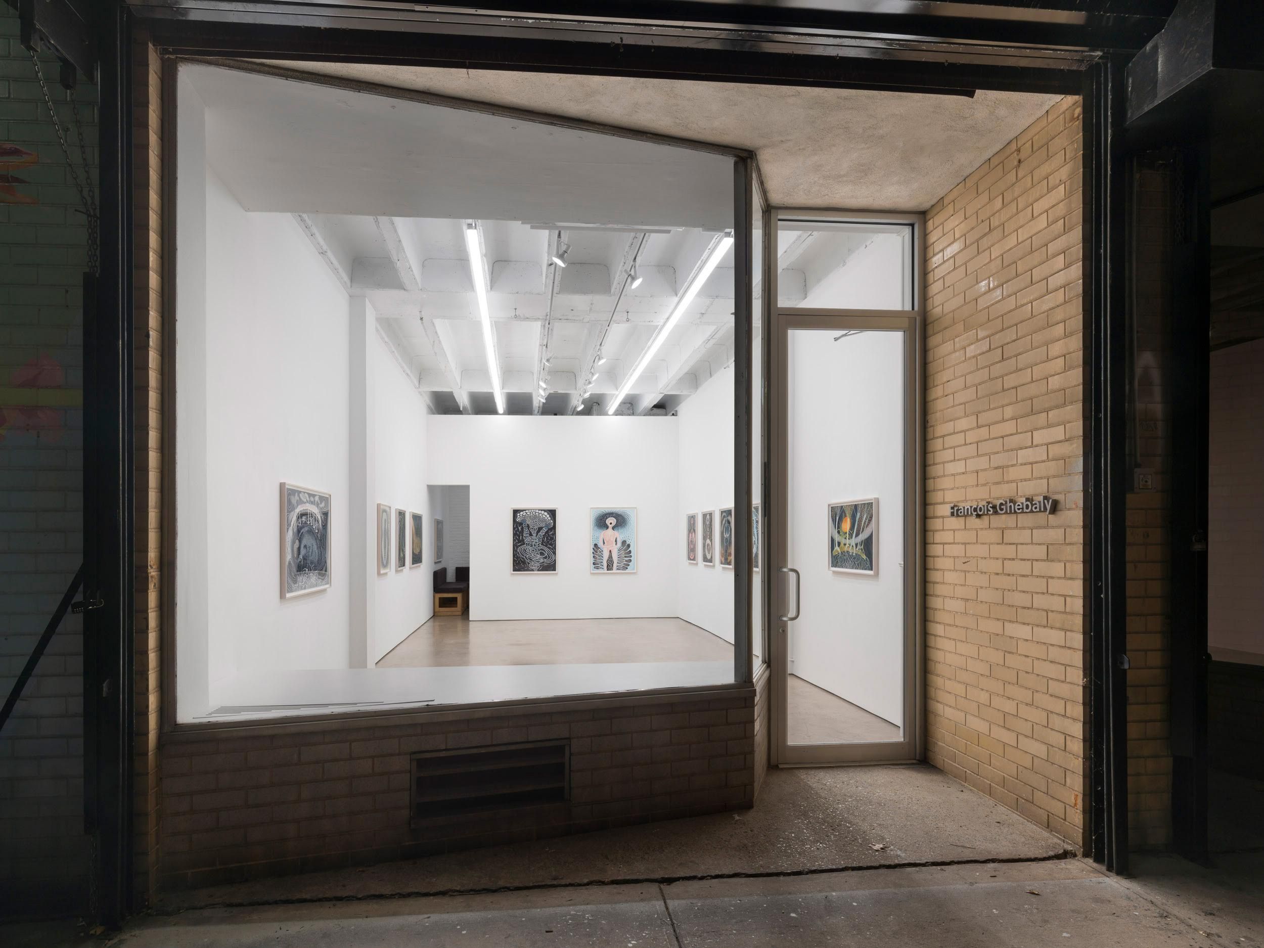 Ann Leda Shapiro, Diagnosing Disturbances at François Ghebaly, photo 7