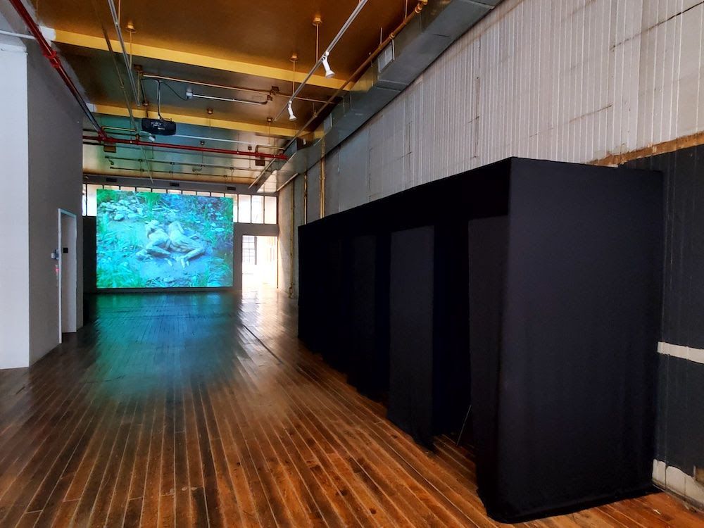 Aneta Bartos, image 6 of 7