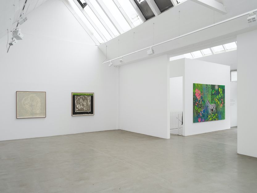 Johnny Miller, The Nature of Nature at Barbara Thumm, photo 9
